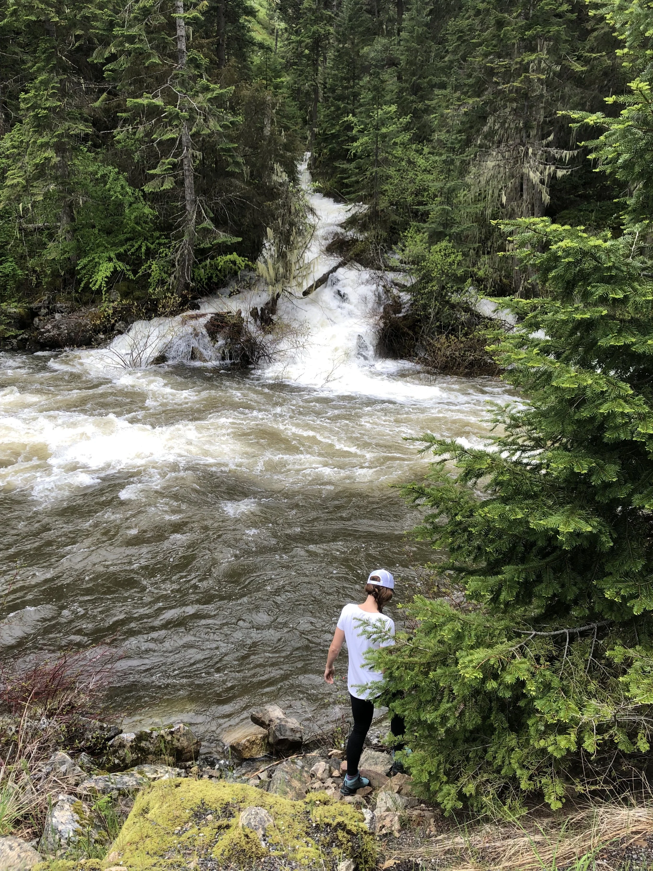 South Fork Clearwater River, ID