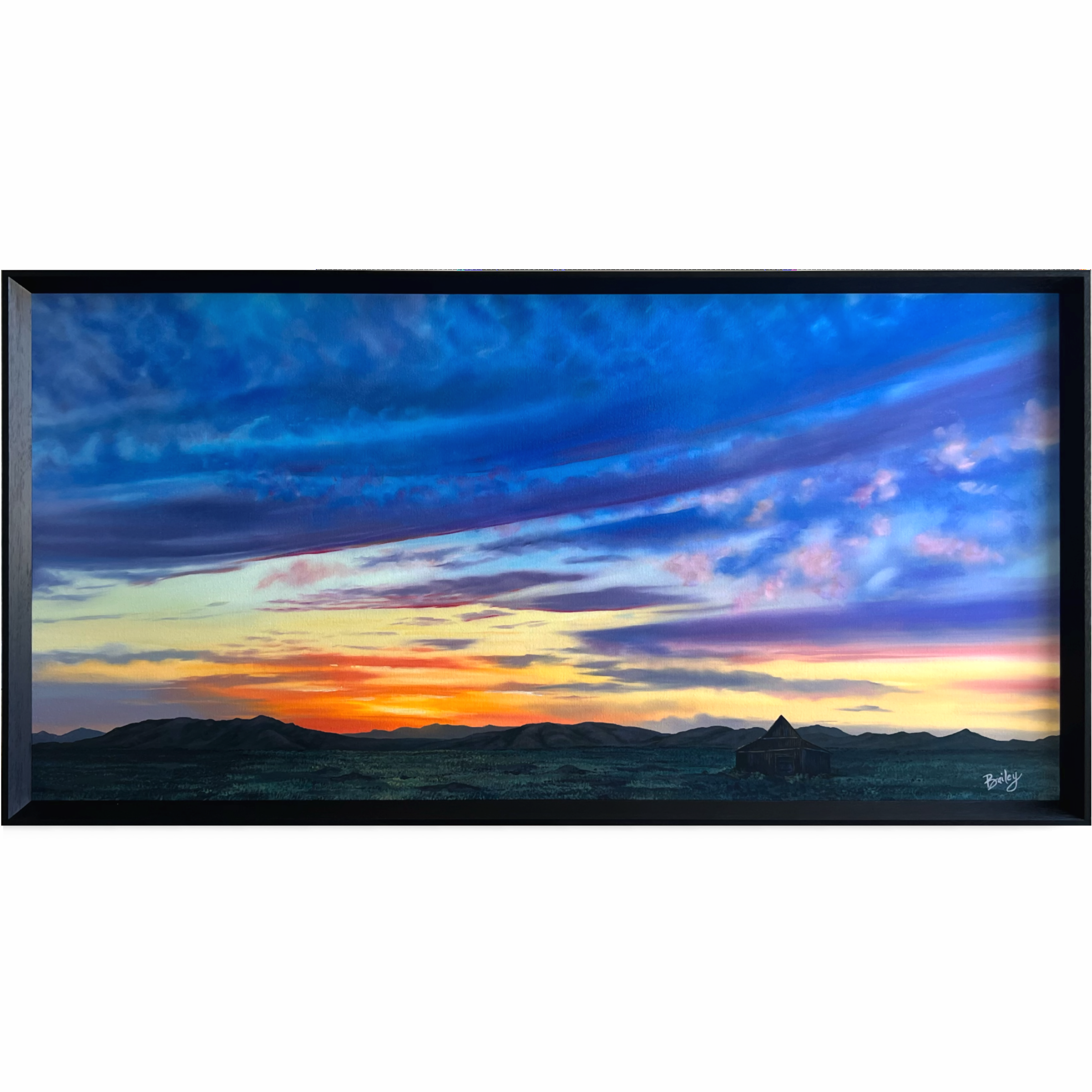 Painted Skies | Owyhee County | 24"x48" Oil on Canvas | $4,000 | Available in Shop