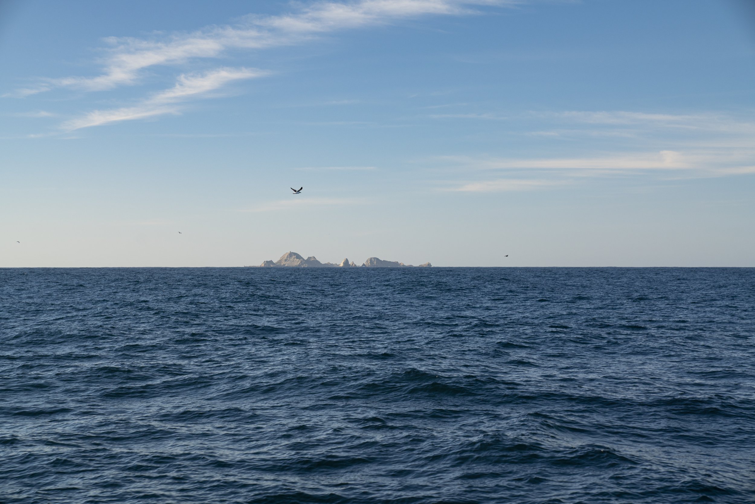 PacificPearlCharters_2912.jpg