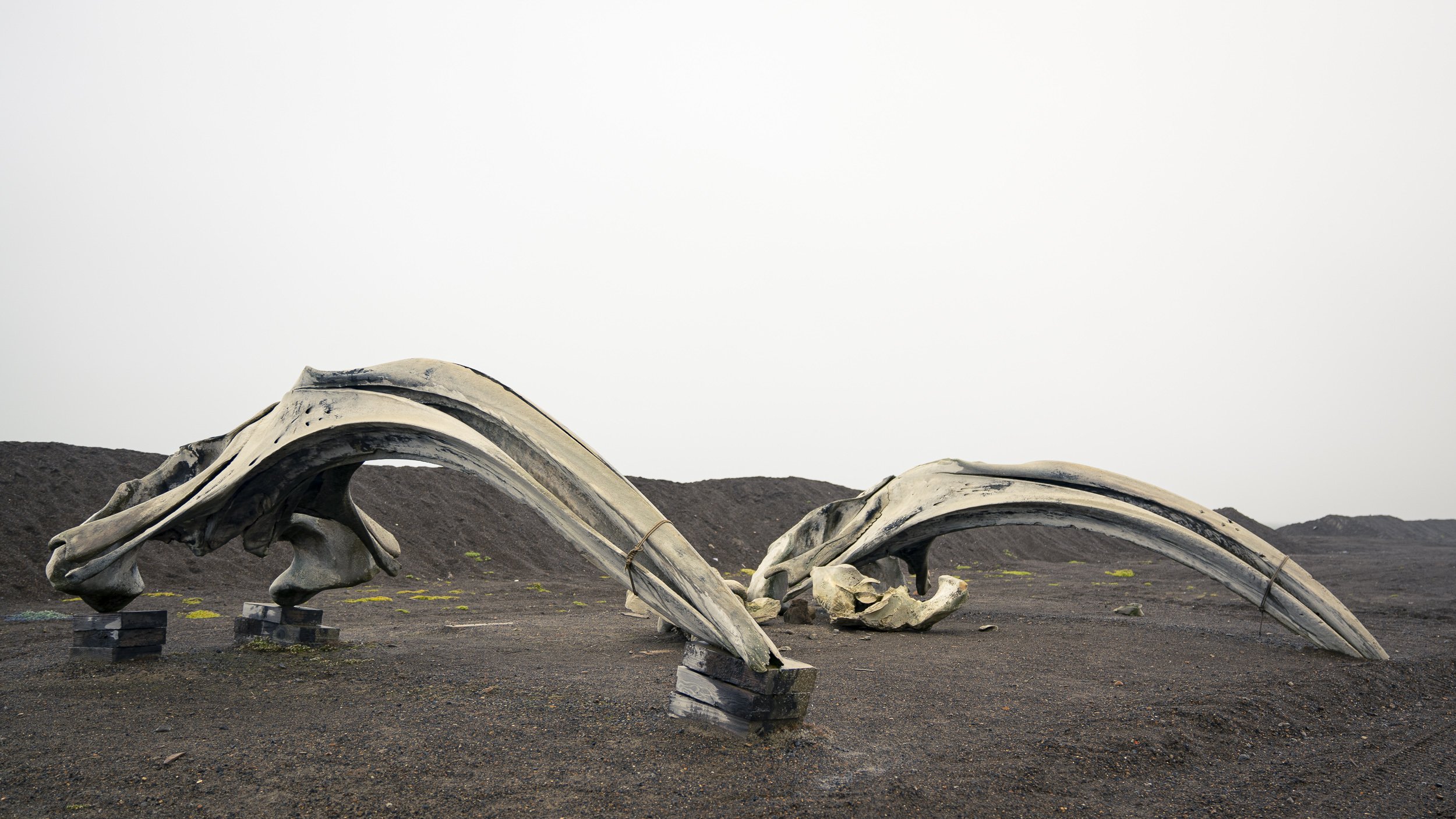 Barrow,AK_MidnightHaulers_238.jpg