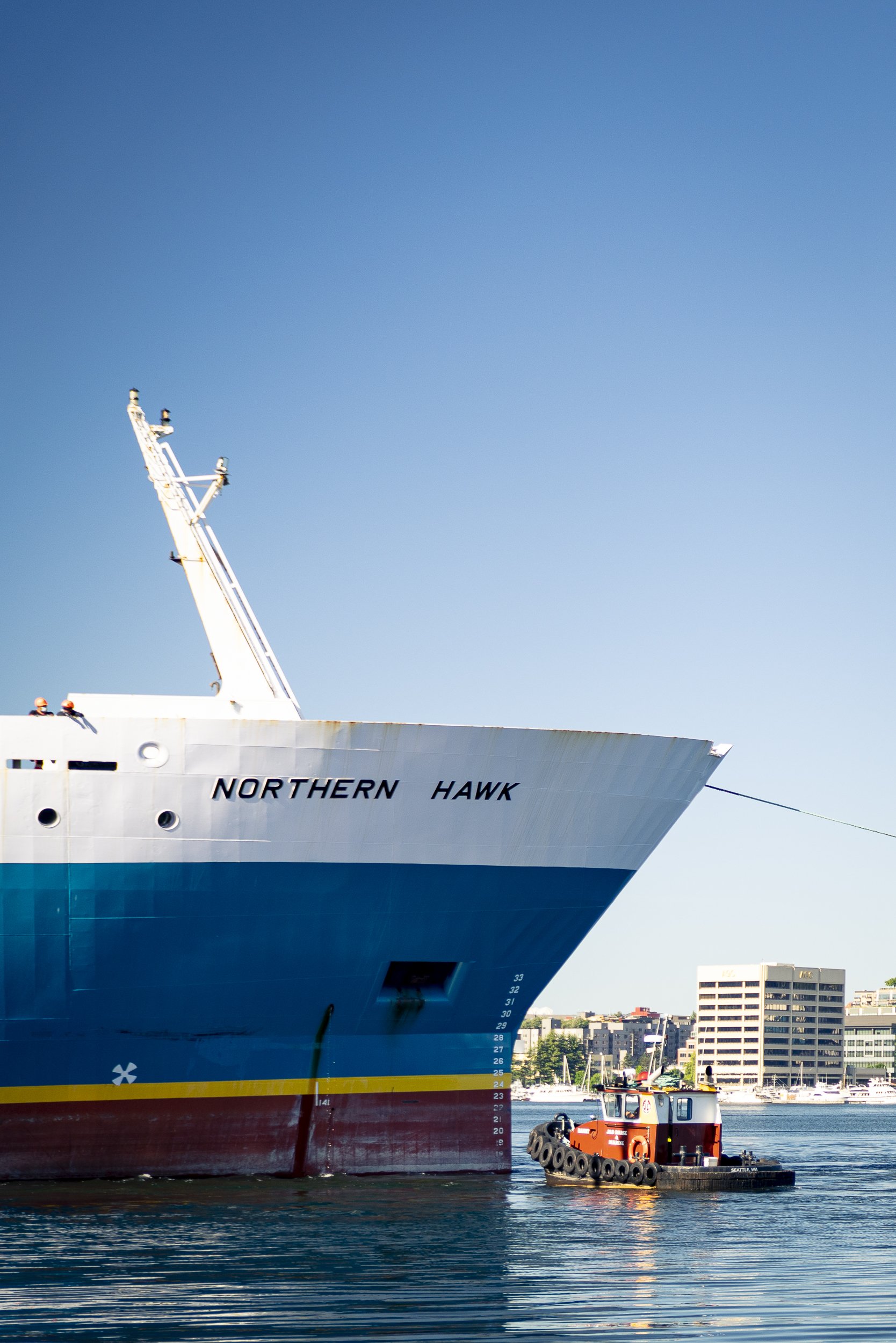 DeForgeMaritime_Move_NorthernHawk_069_L.jpg