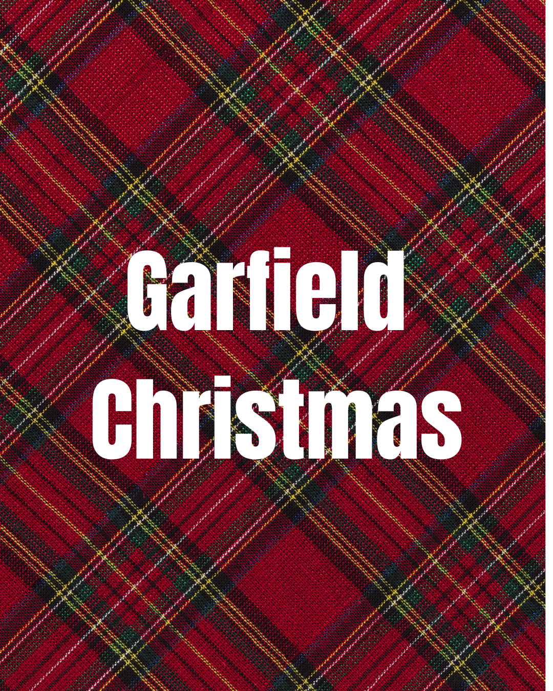 Christmas in Garfield