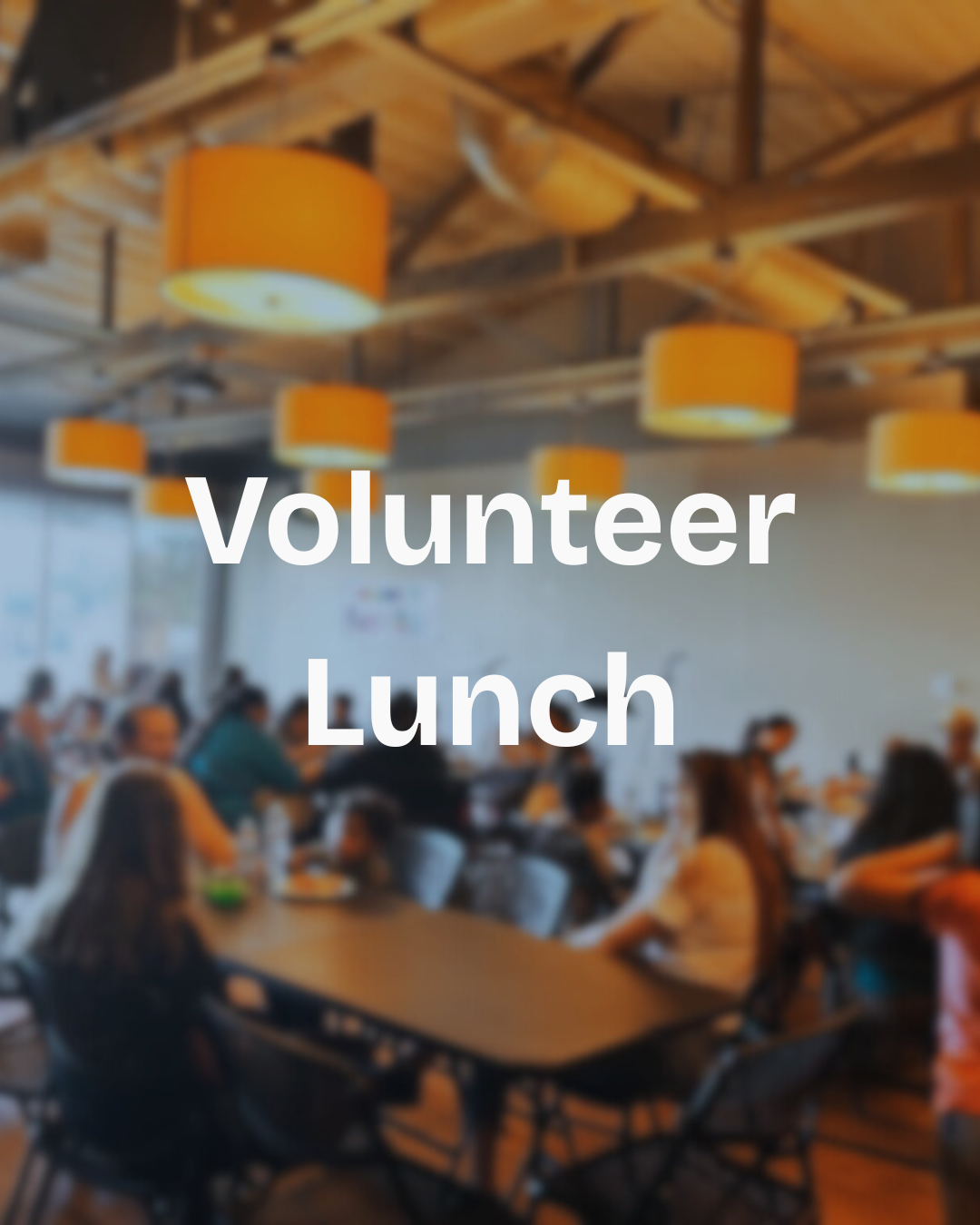 Volunteer Lunch