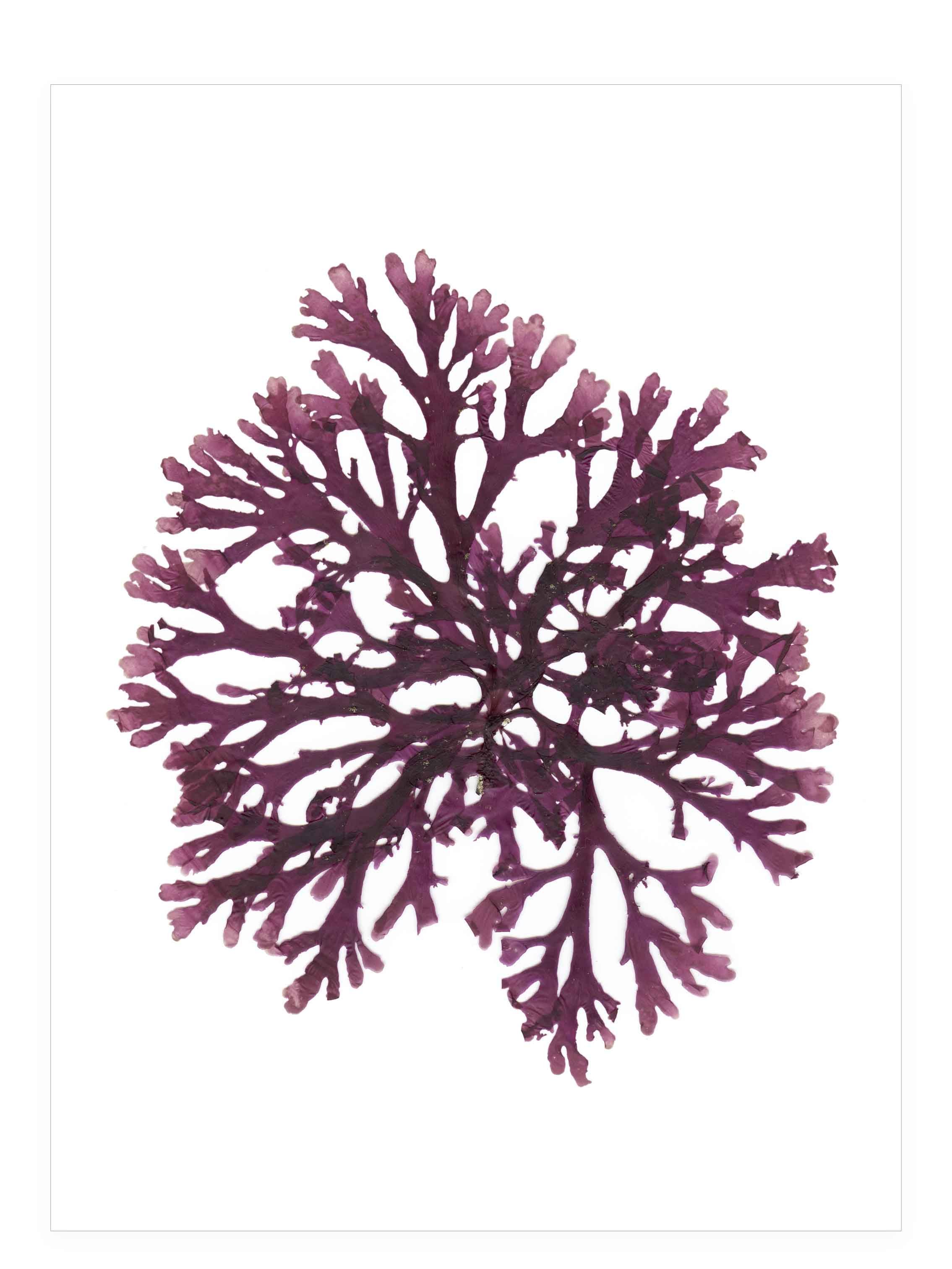 Rhythms of Ebb and Flow