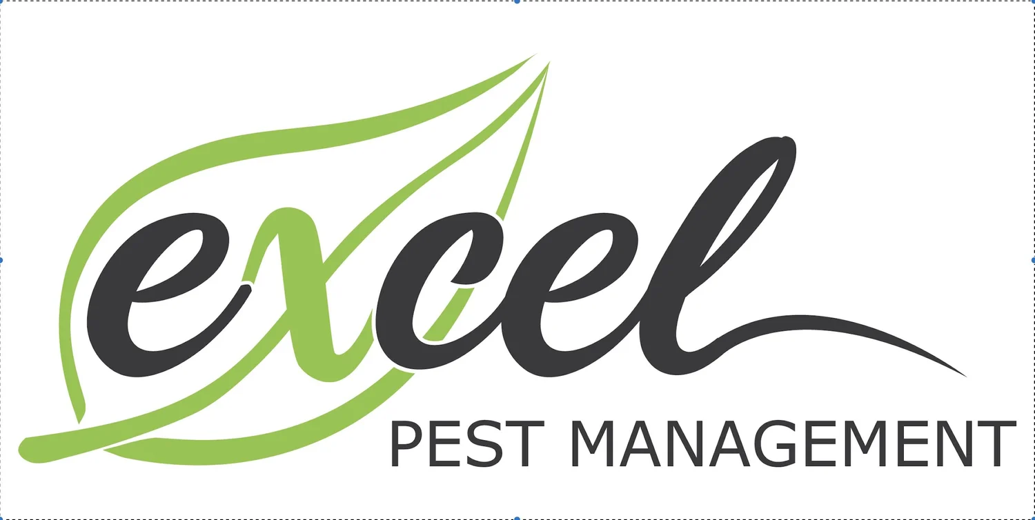Excel PWS