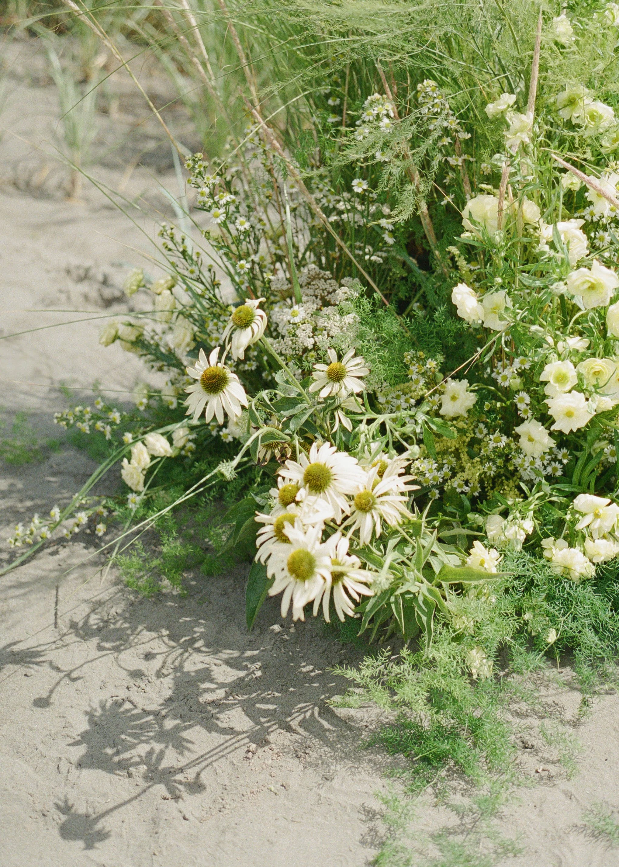 Iris & Fig Floral | Amanda Pool Photo