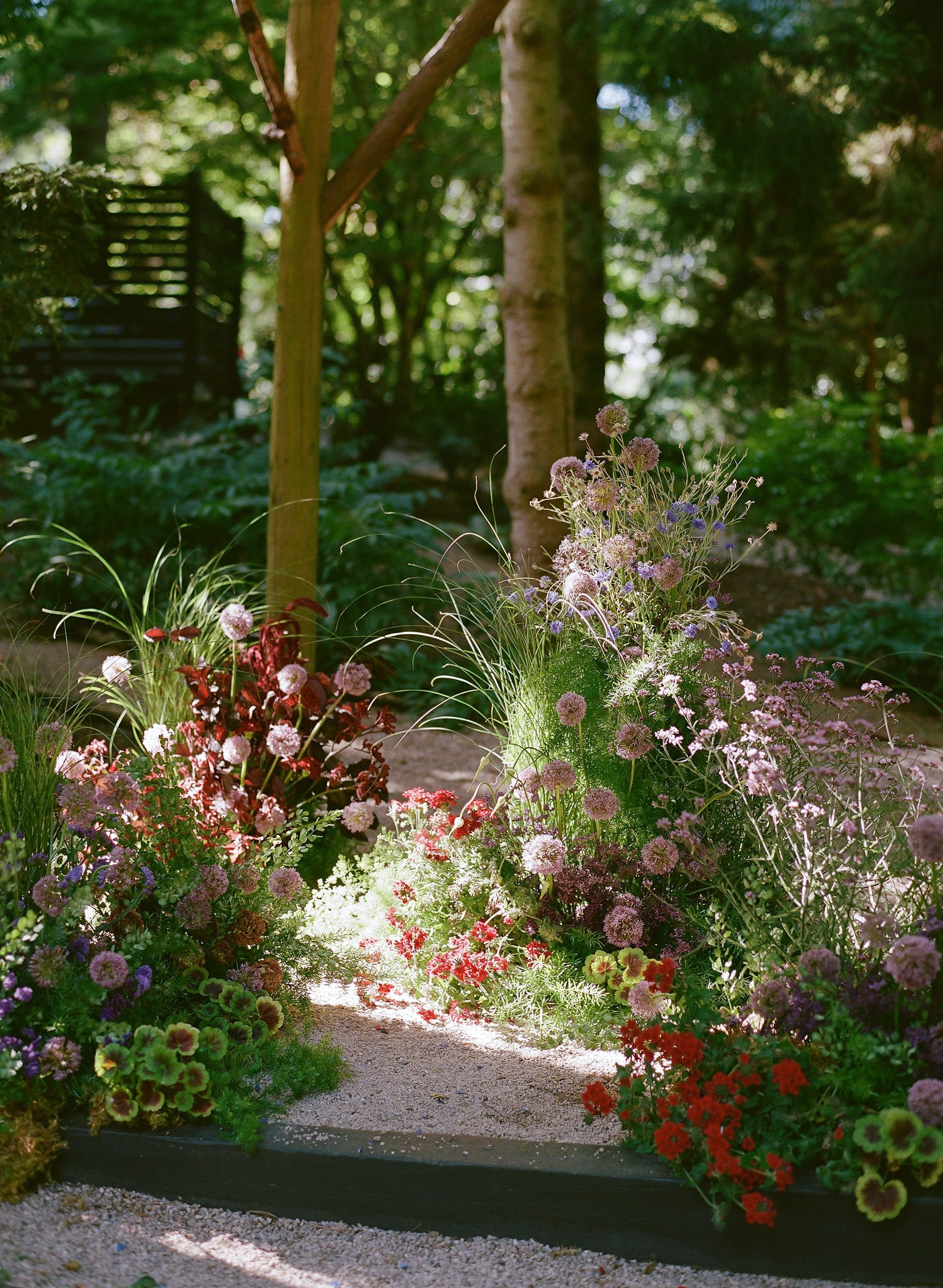Iris & Fig | Anna Peters