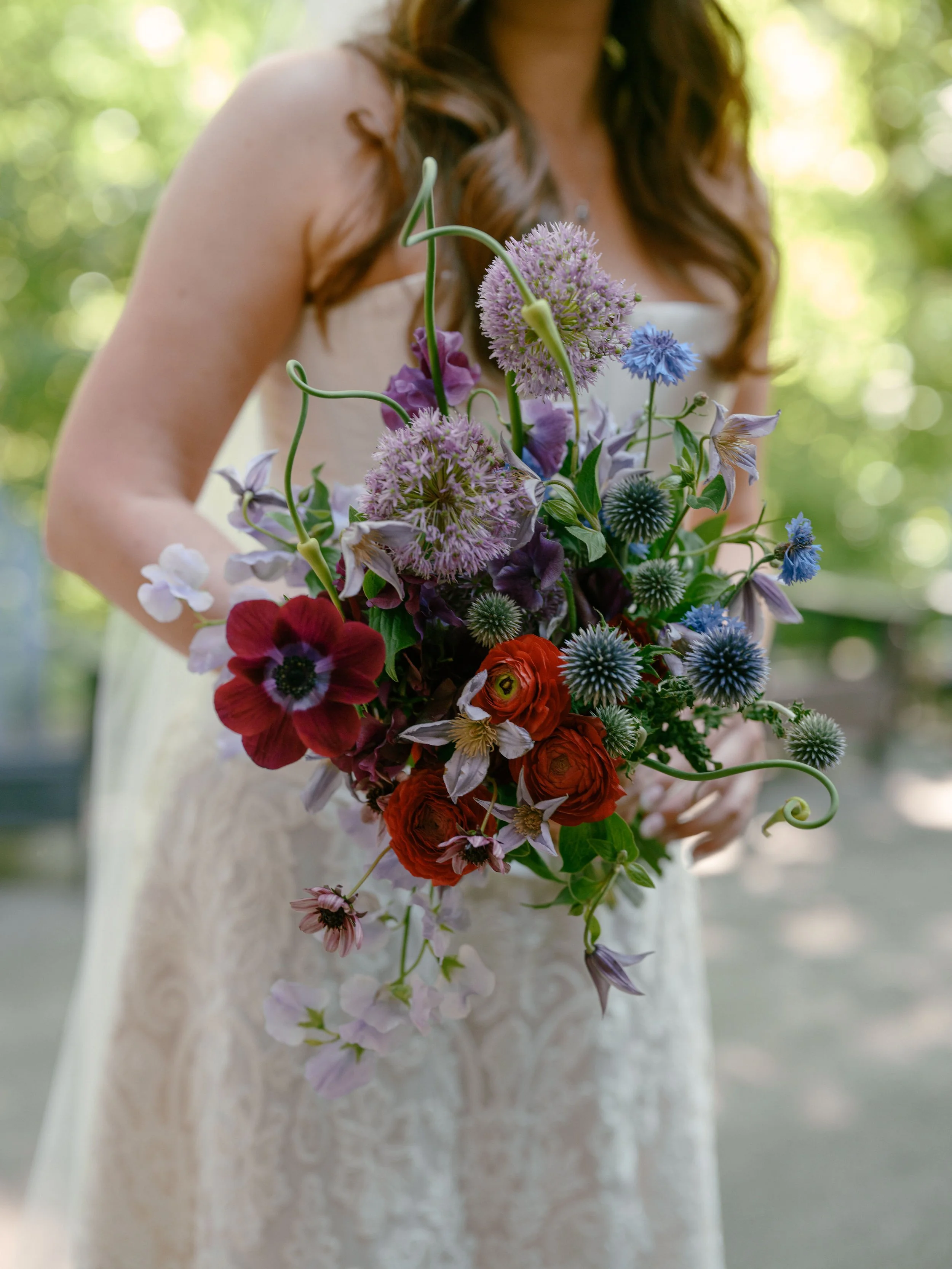 Iris & Fig | Anna Peters