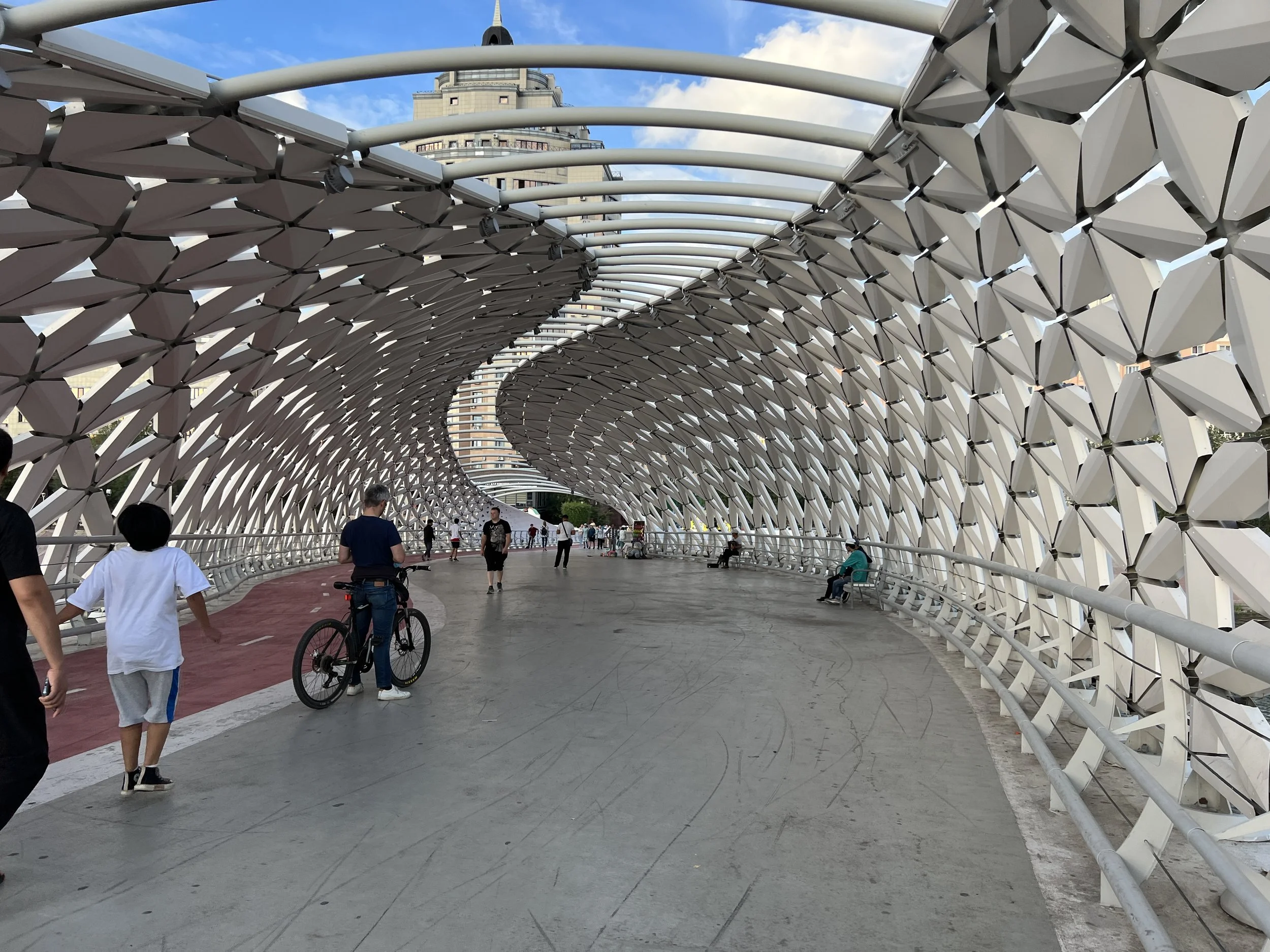 The Fish Bridge 