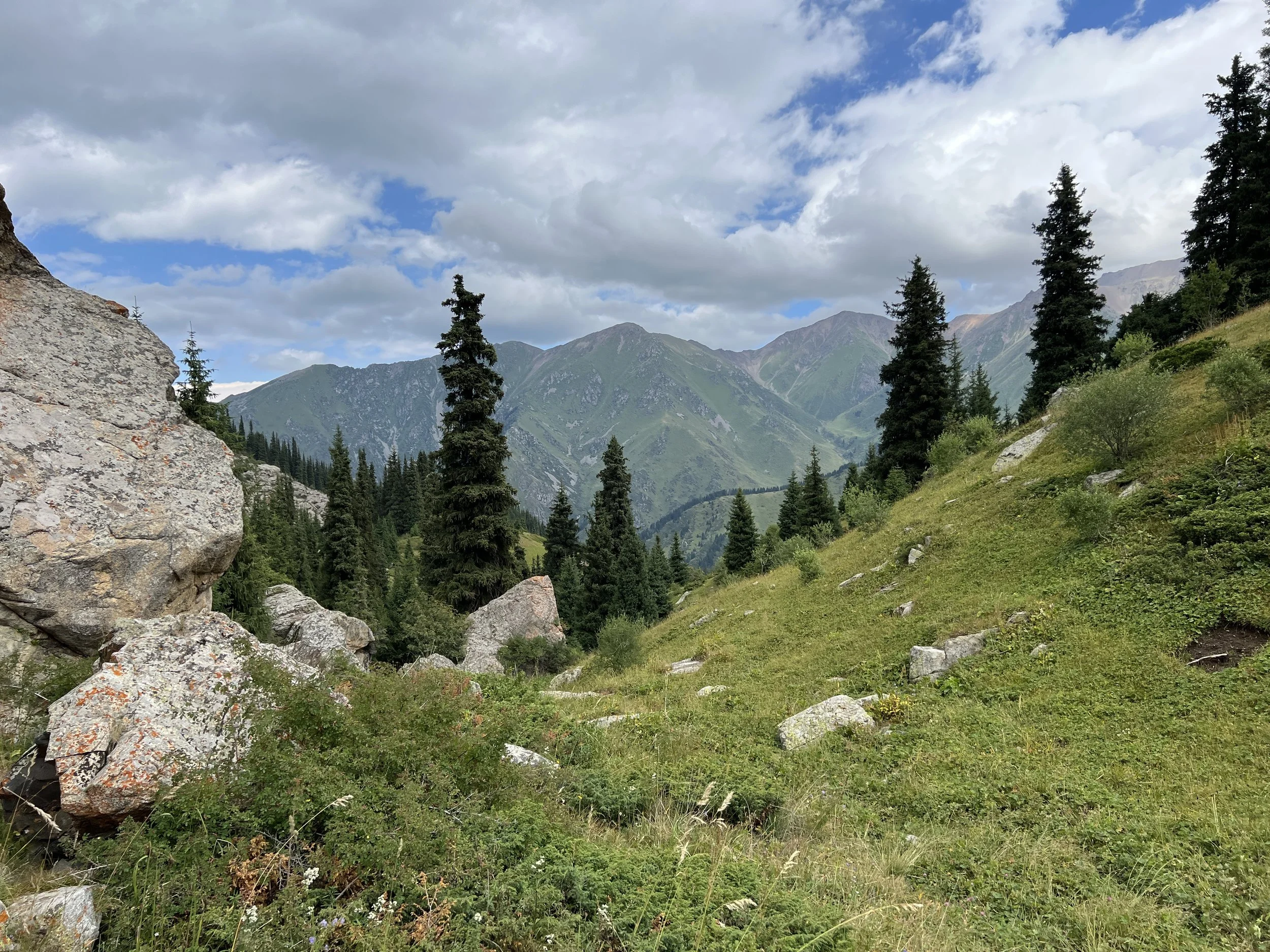 IMG_4063.JPG