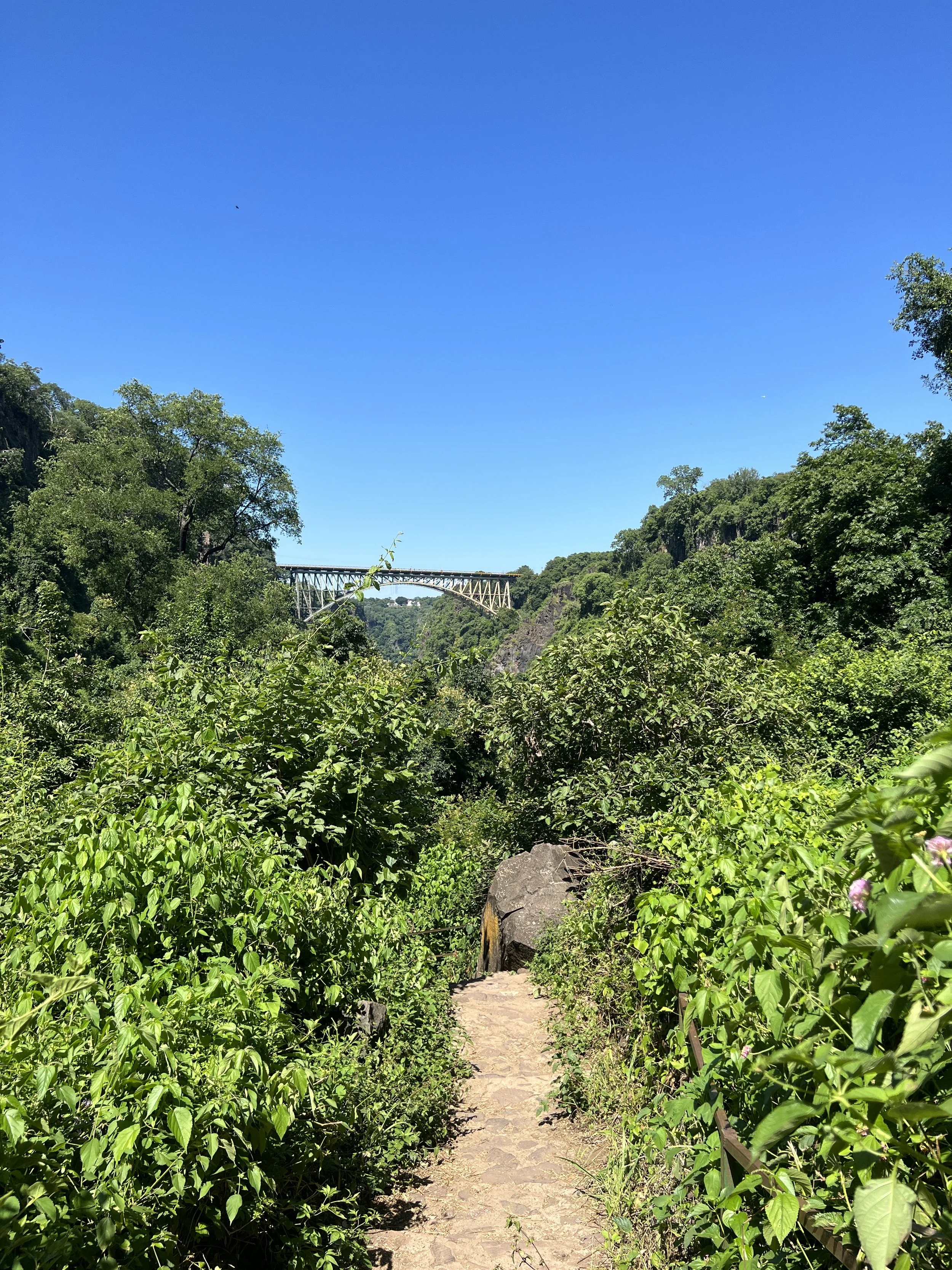 The Hike Down to Boiling Point