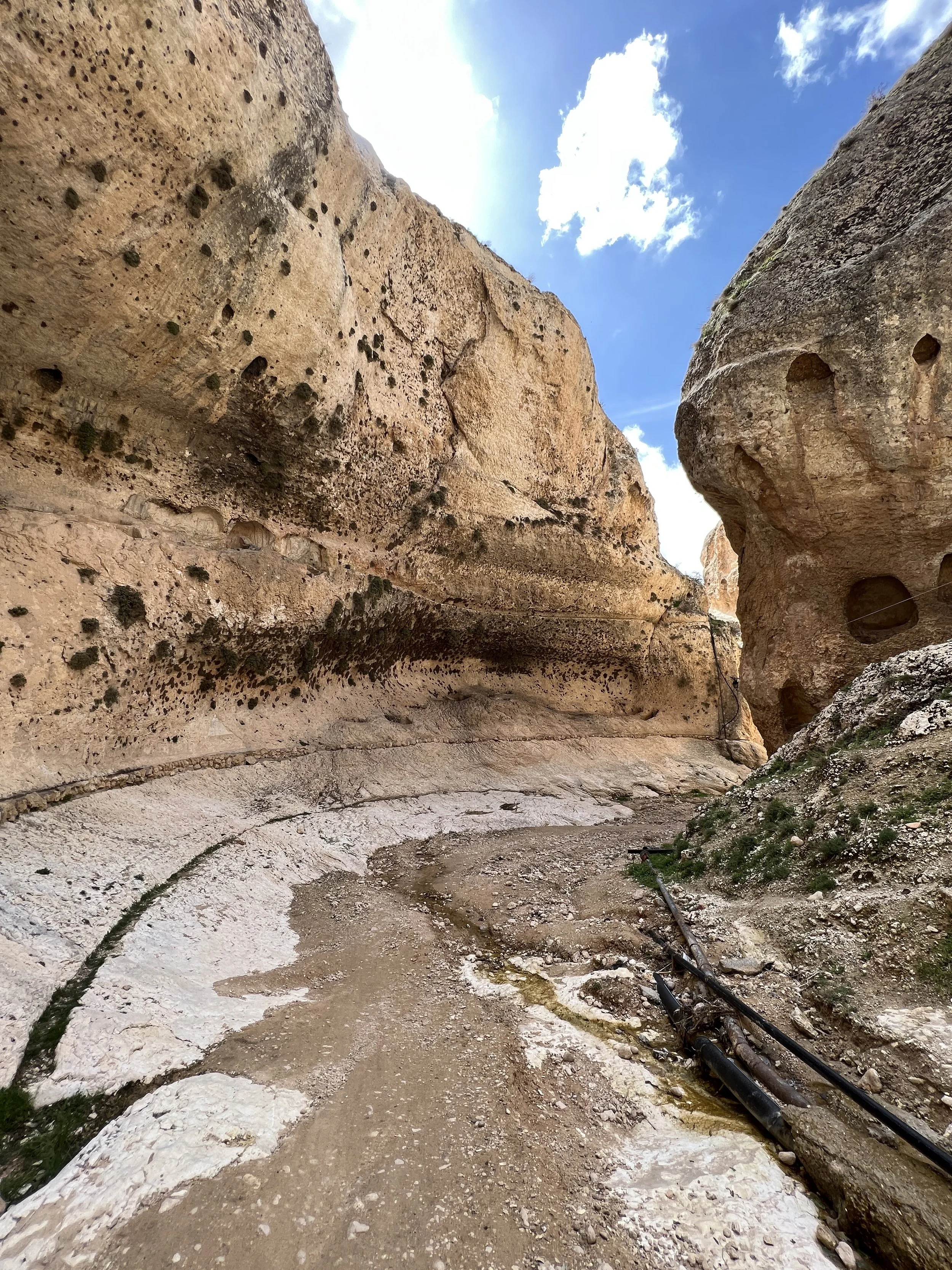 IMG_1739.JPG