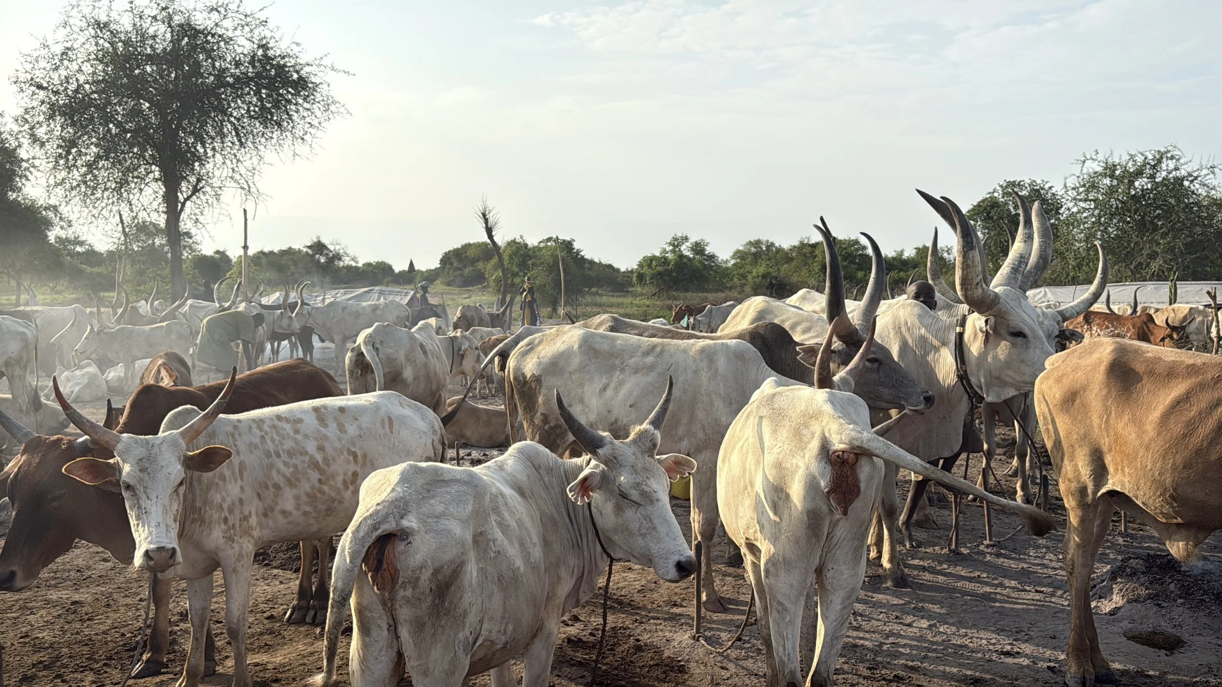 South Sudan