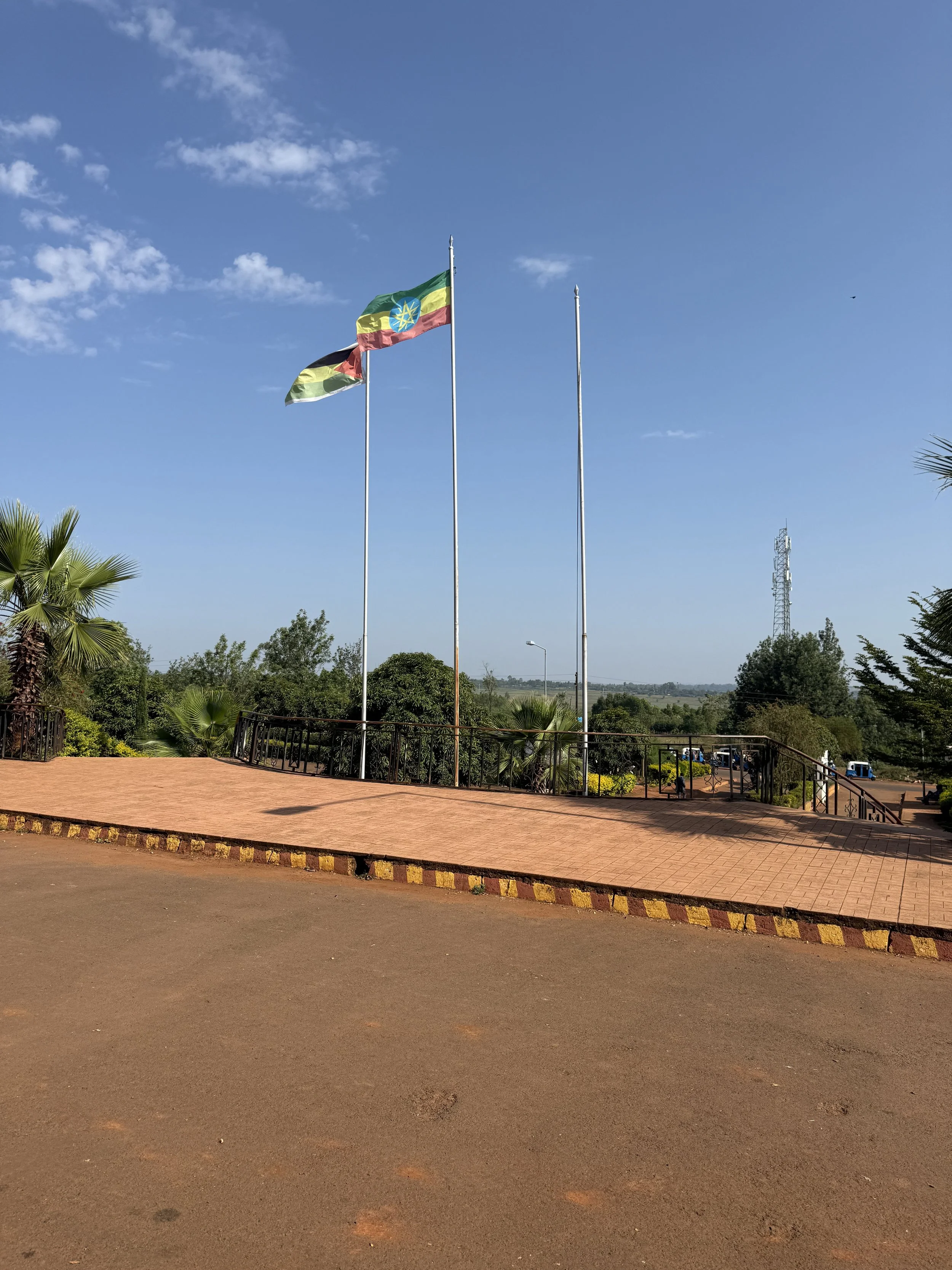 Ethiopian and State Flag