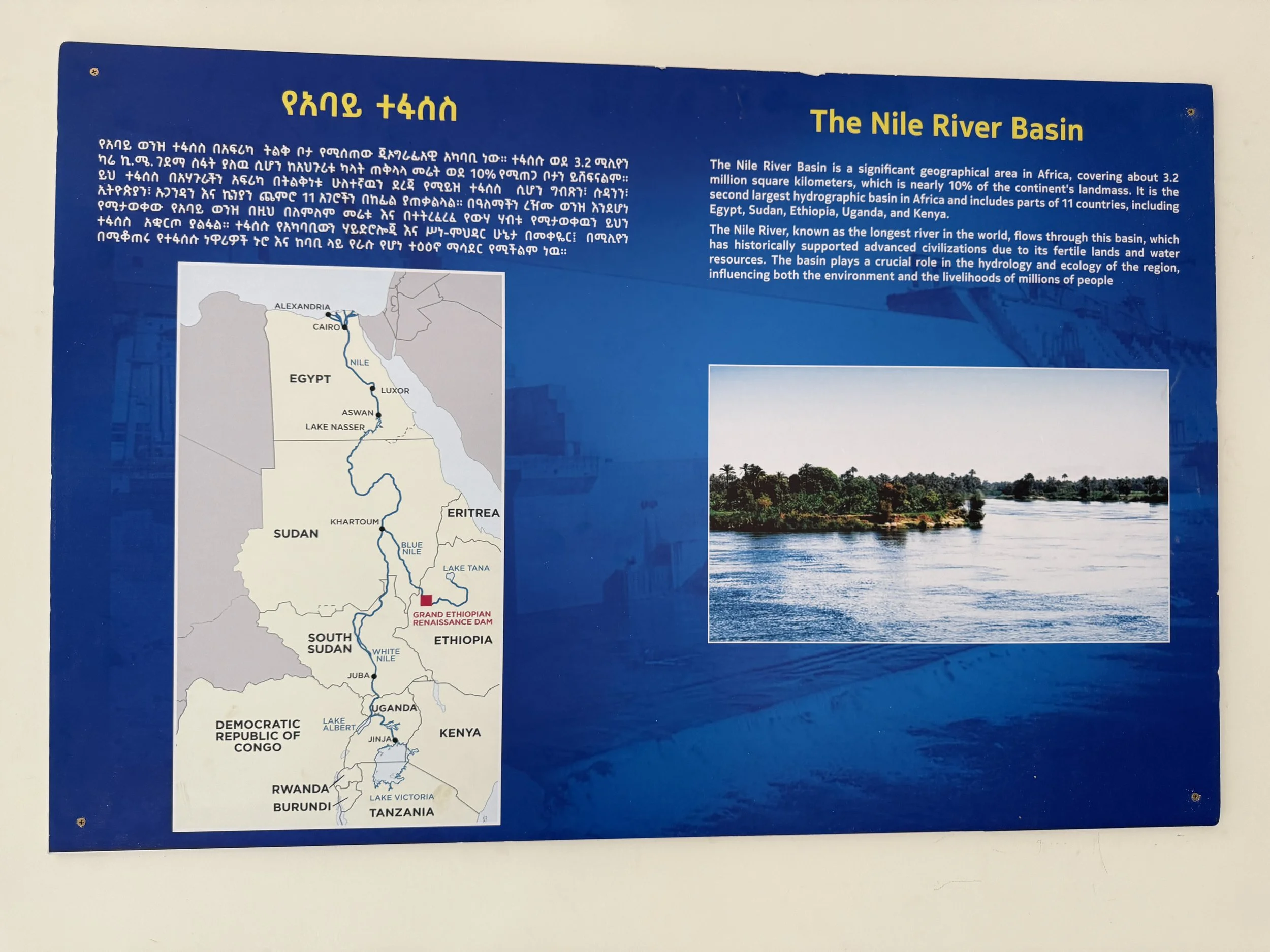 Information on Blue Nile 