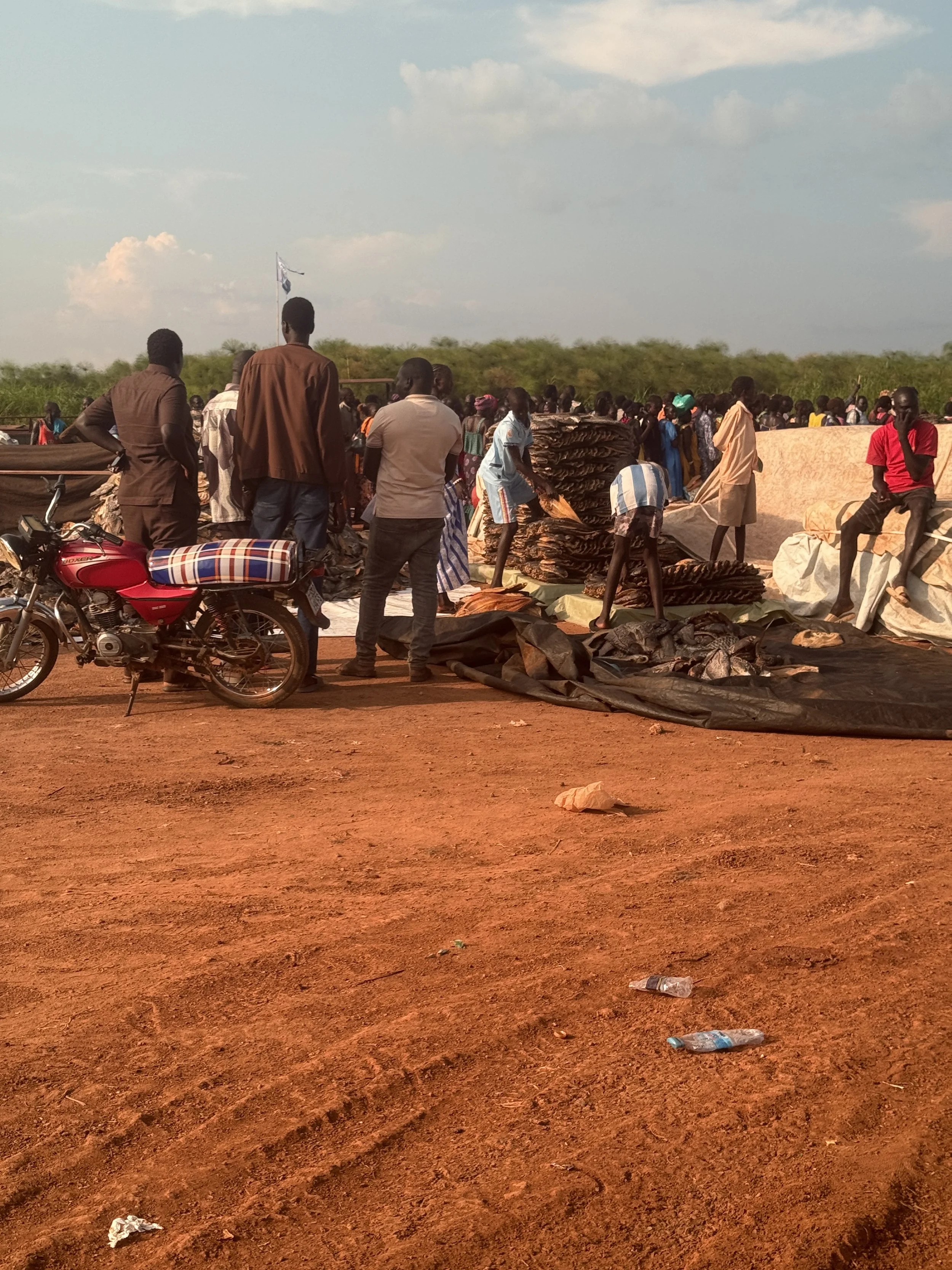 Dried Fish in Minkamman Port 