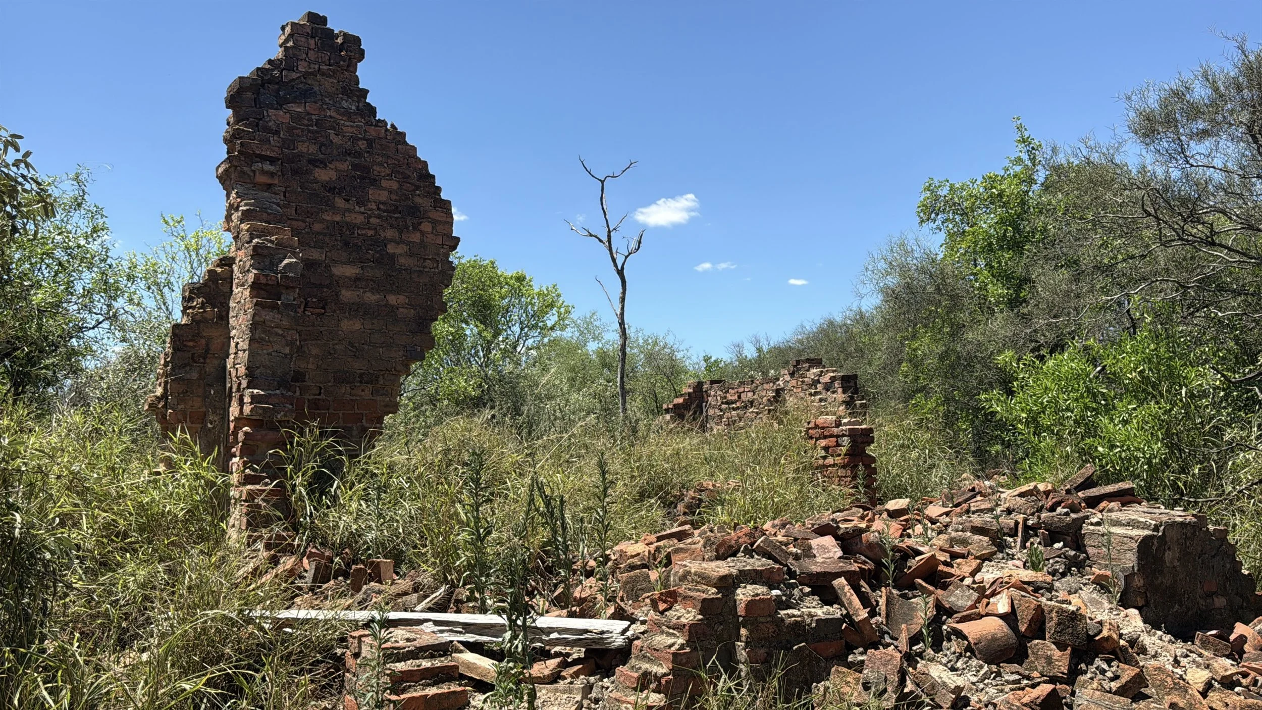 Remnants of the Fort 