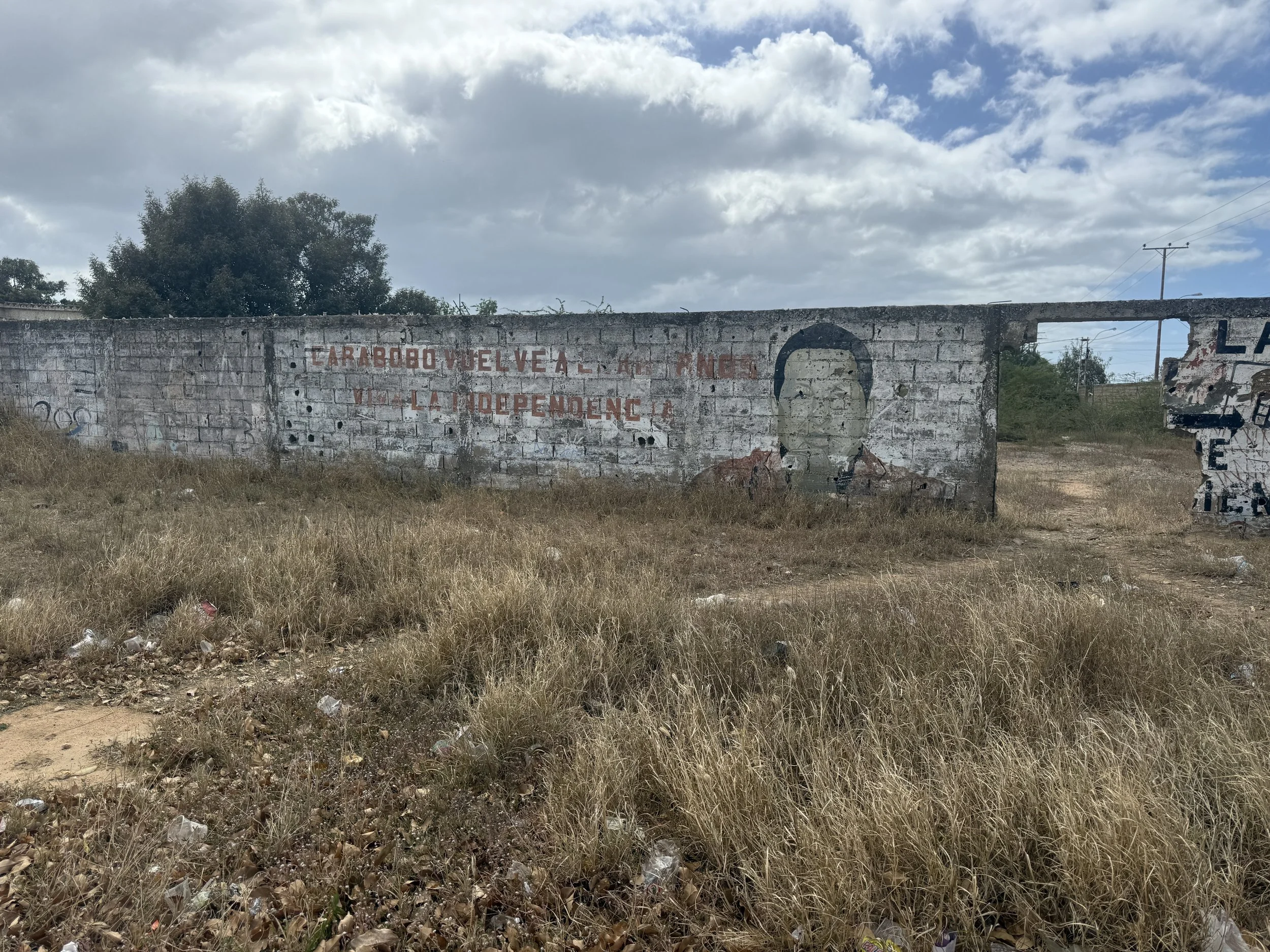 Old Mural of Hugo Chavez