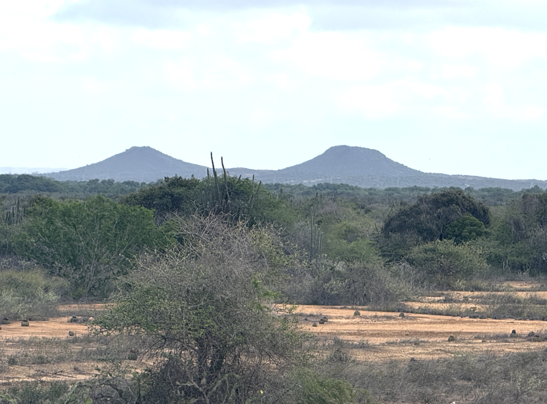 Screenshot 2026-01-26 at 2.40.16 PM.png