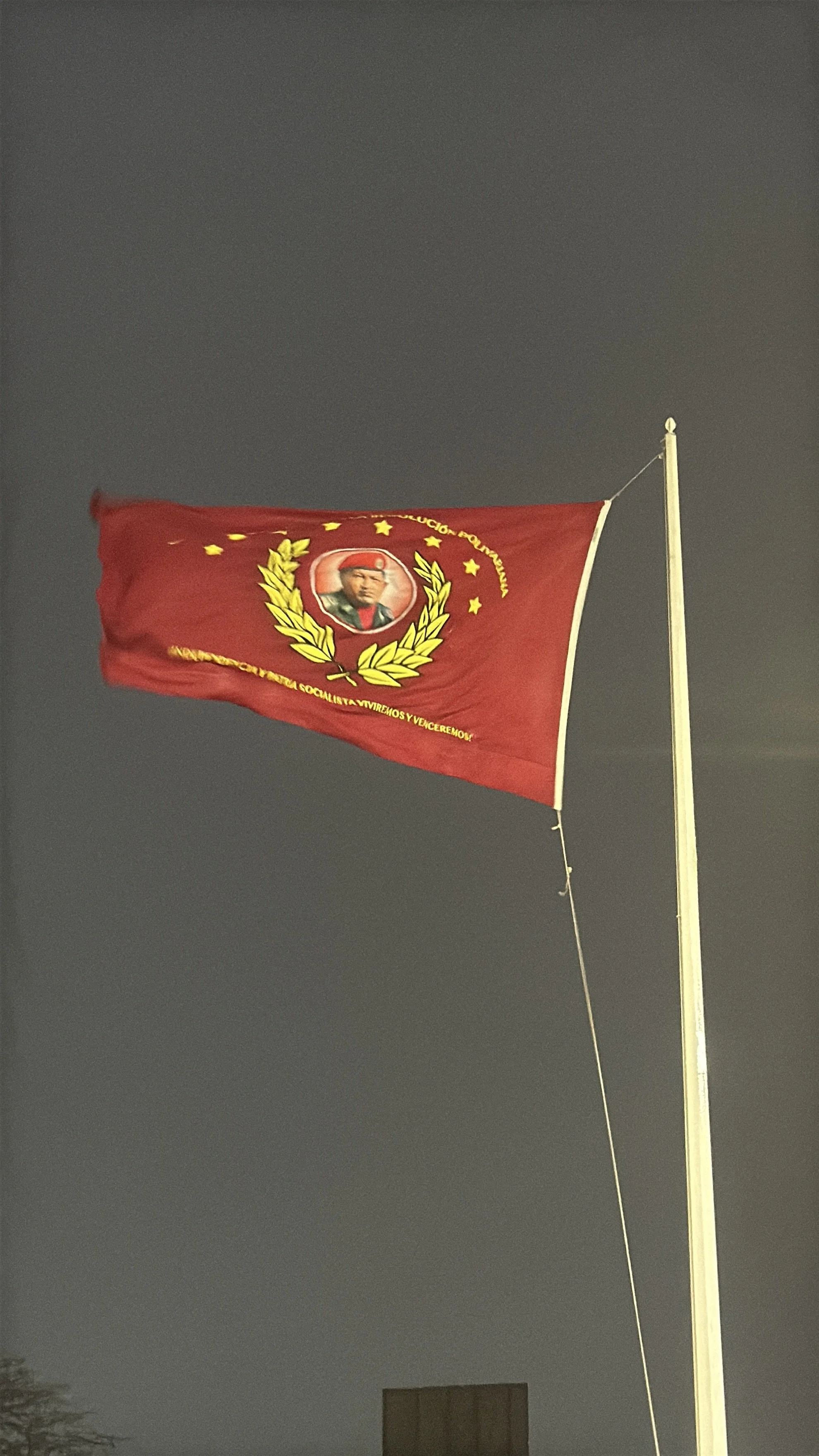 Flag of Hugo Chavez