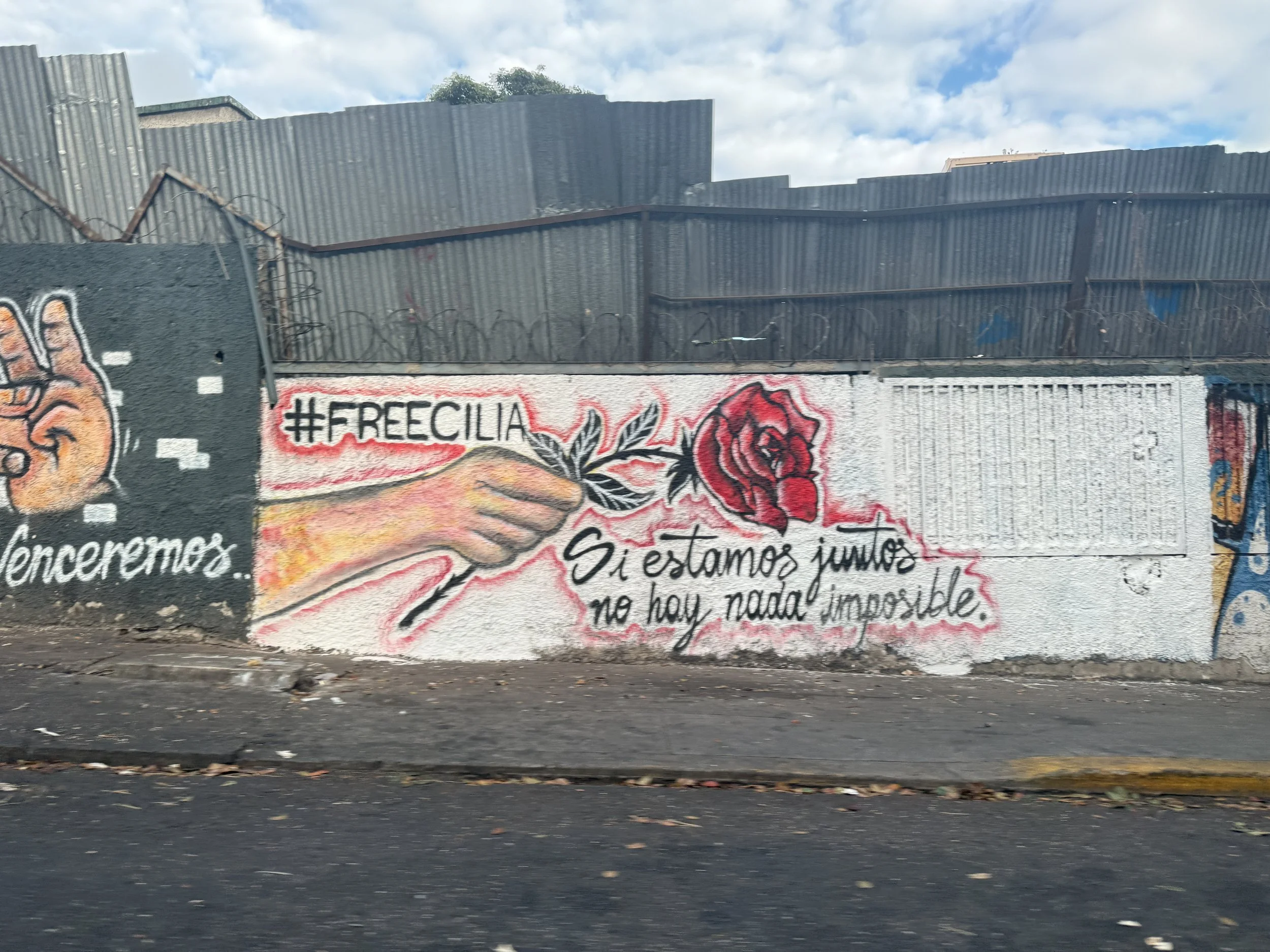 Free Cilia (Maduro's Wife) Mural