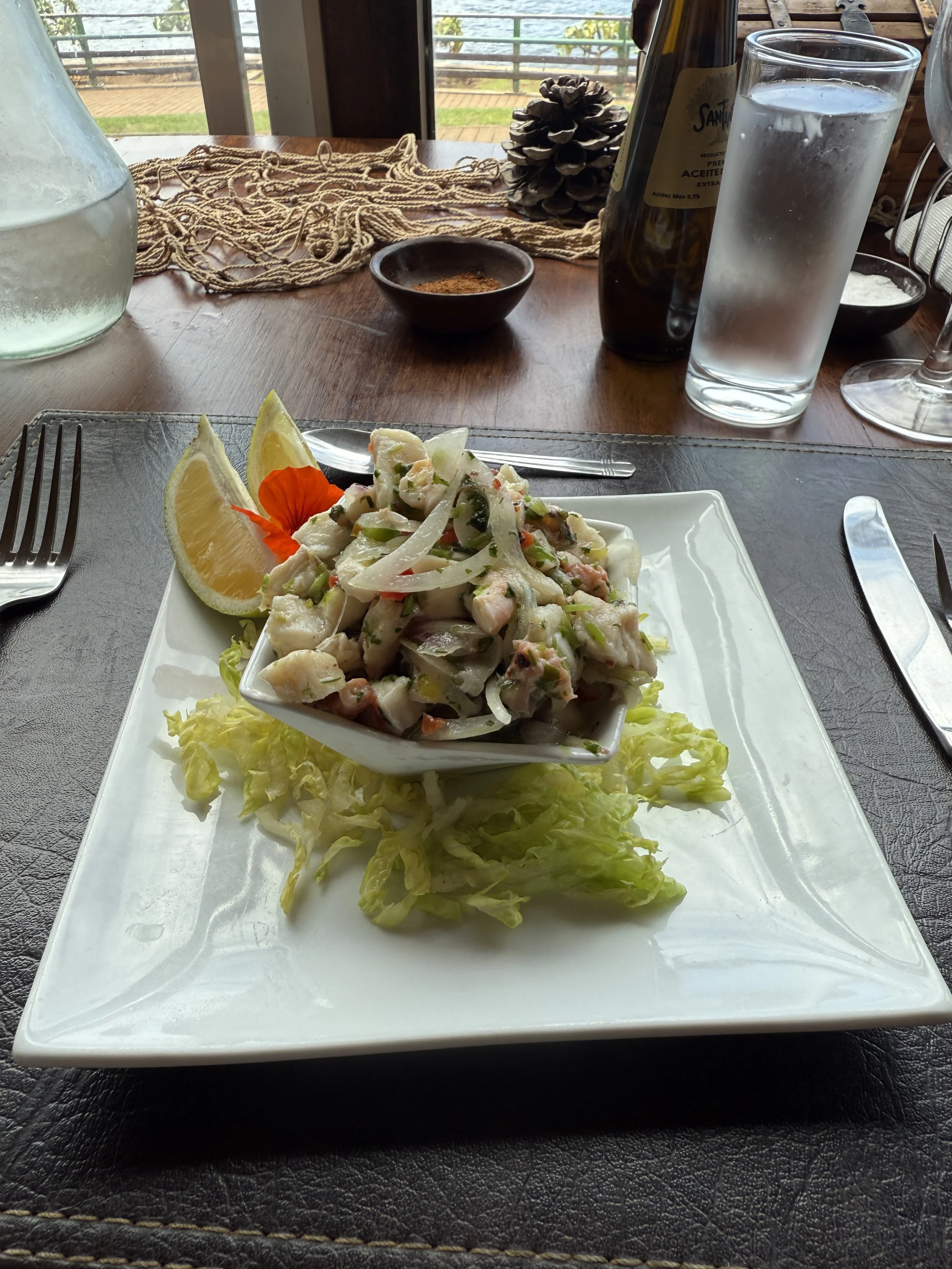 Ceviche for Lunch
