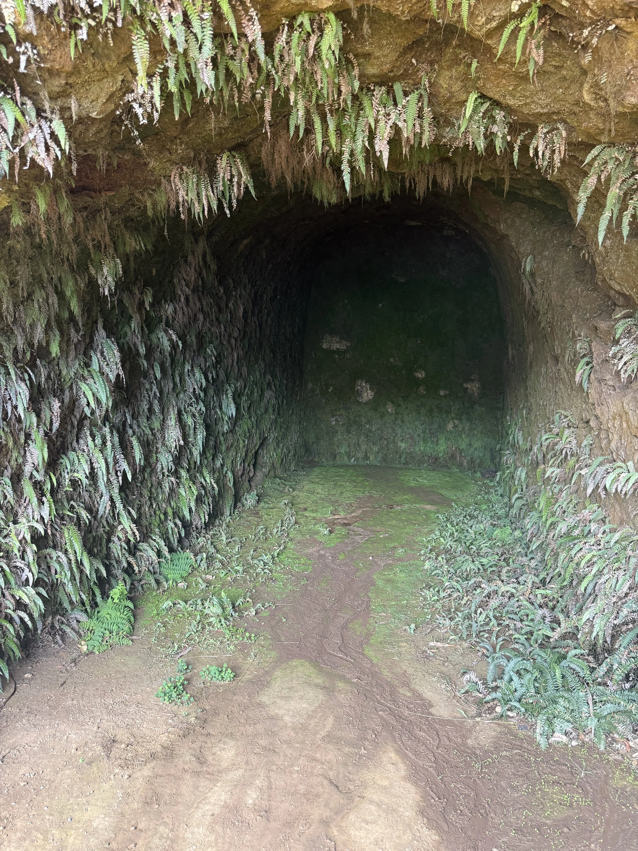 Freedom Fighter Cave