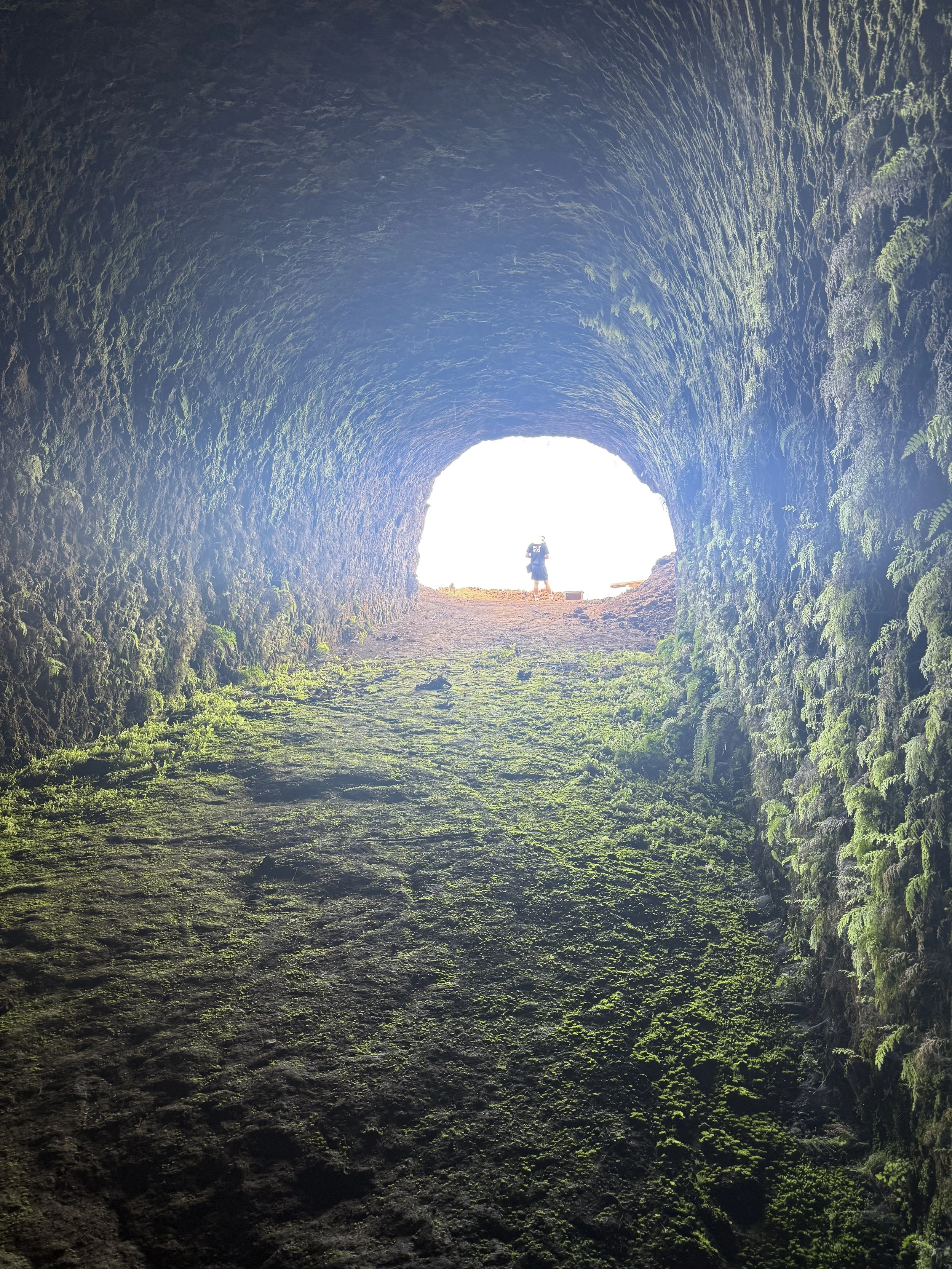 Moss-Covered Cave