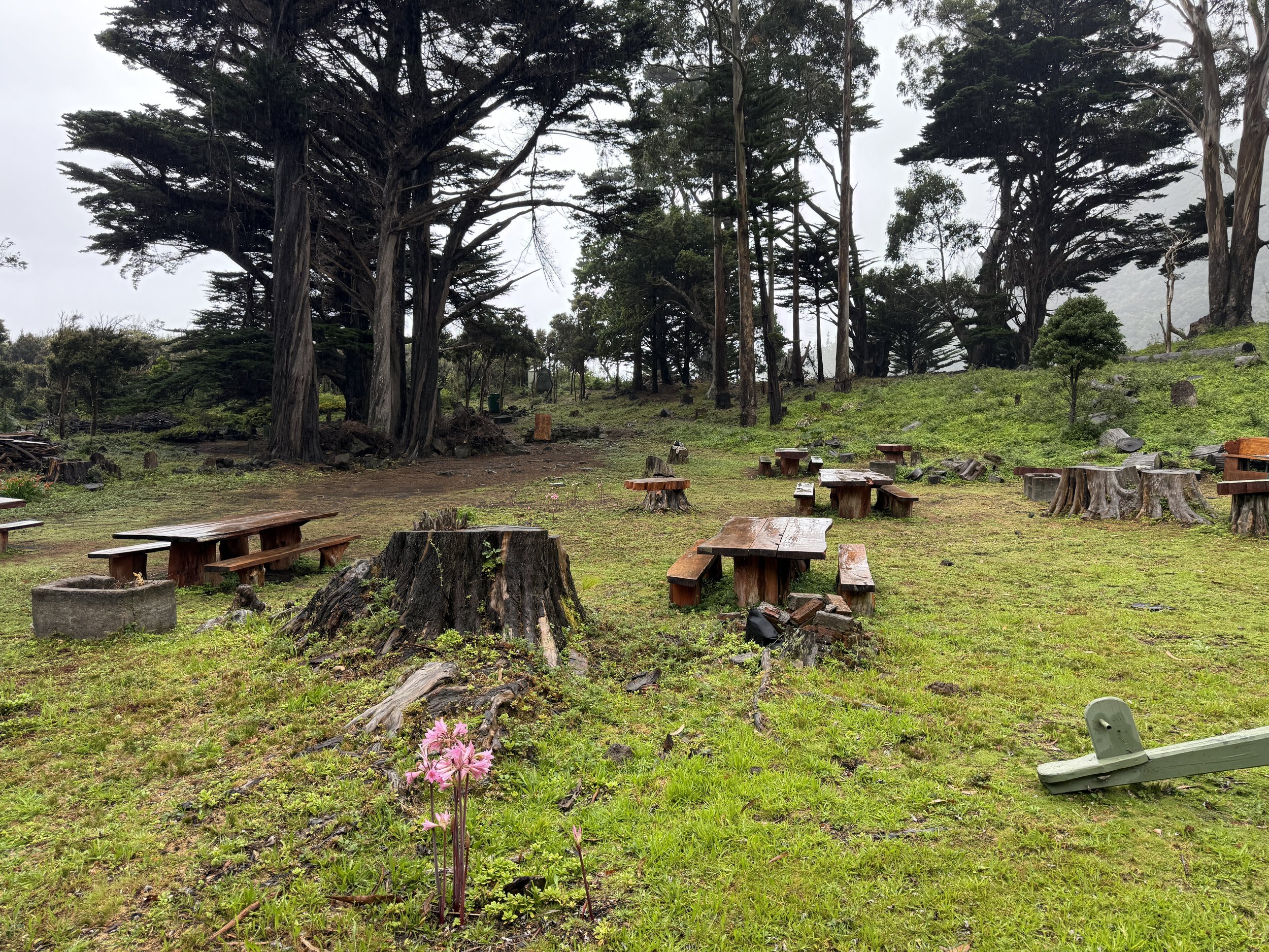Picnic Area