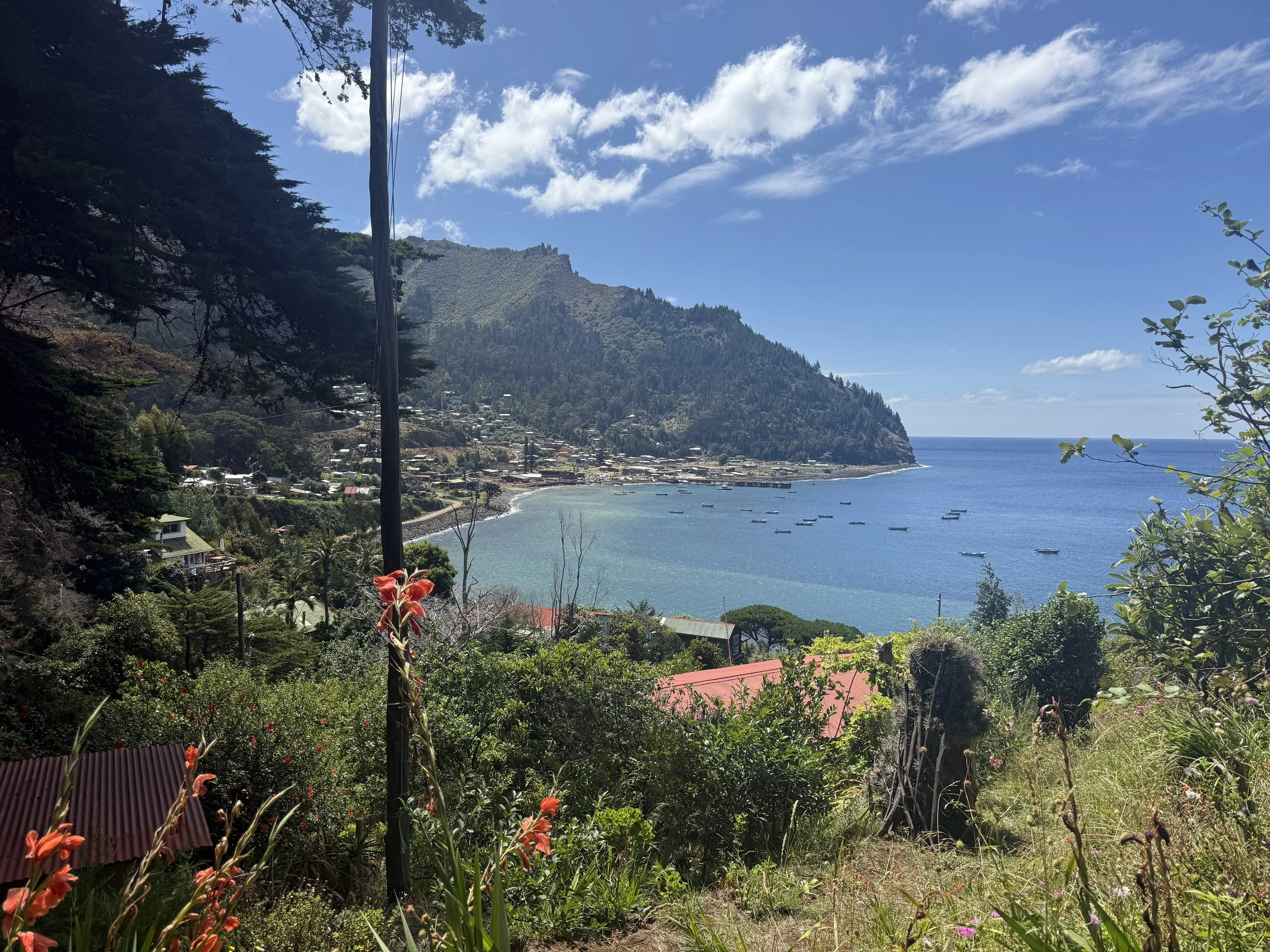 Hike to Seal Colony
