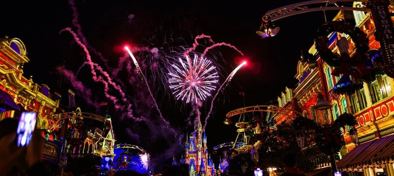 Walt Disney World castle and fireworks at night