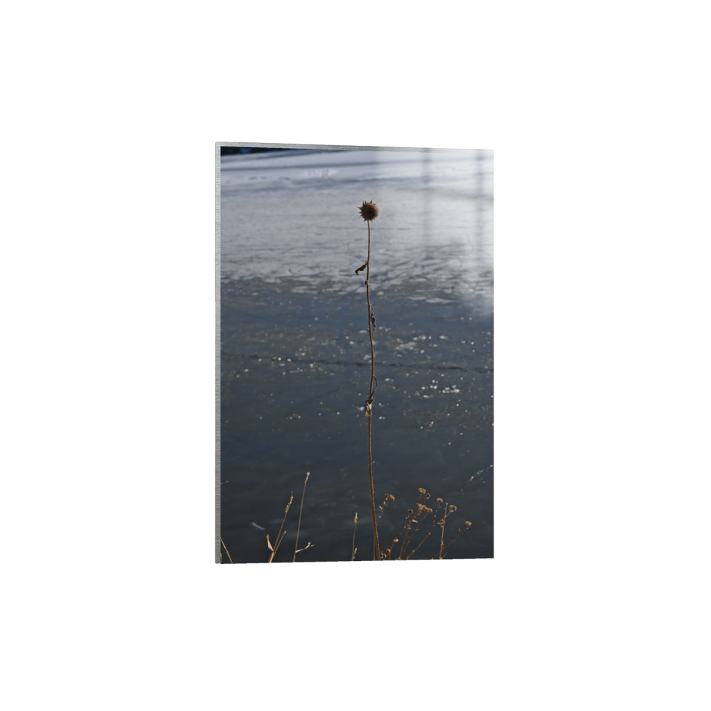 ptq_13_3_0_0_3771_5656_0_false_ffffff_0_0_.png
