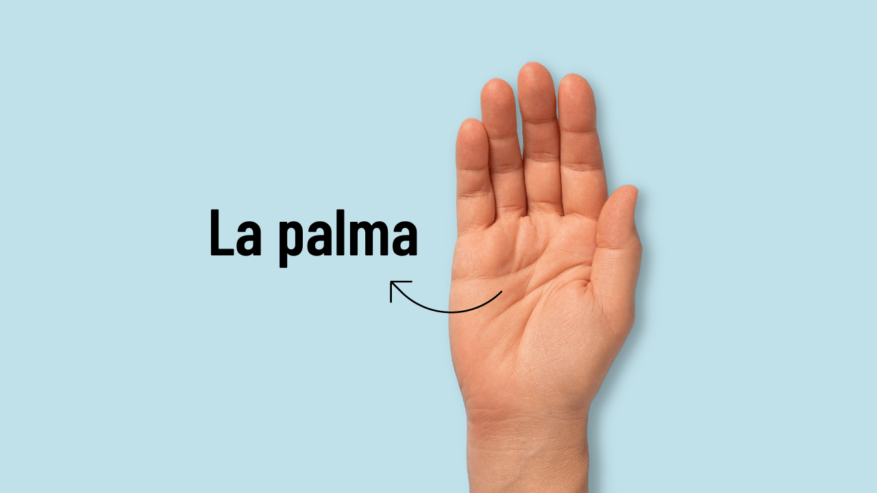 Aprende la expresión en español Como la palma de la