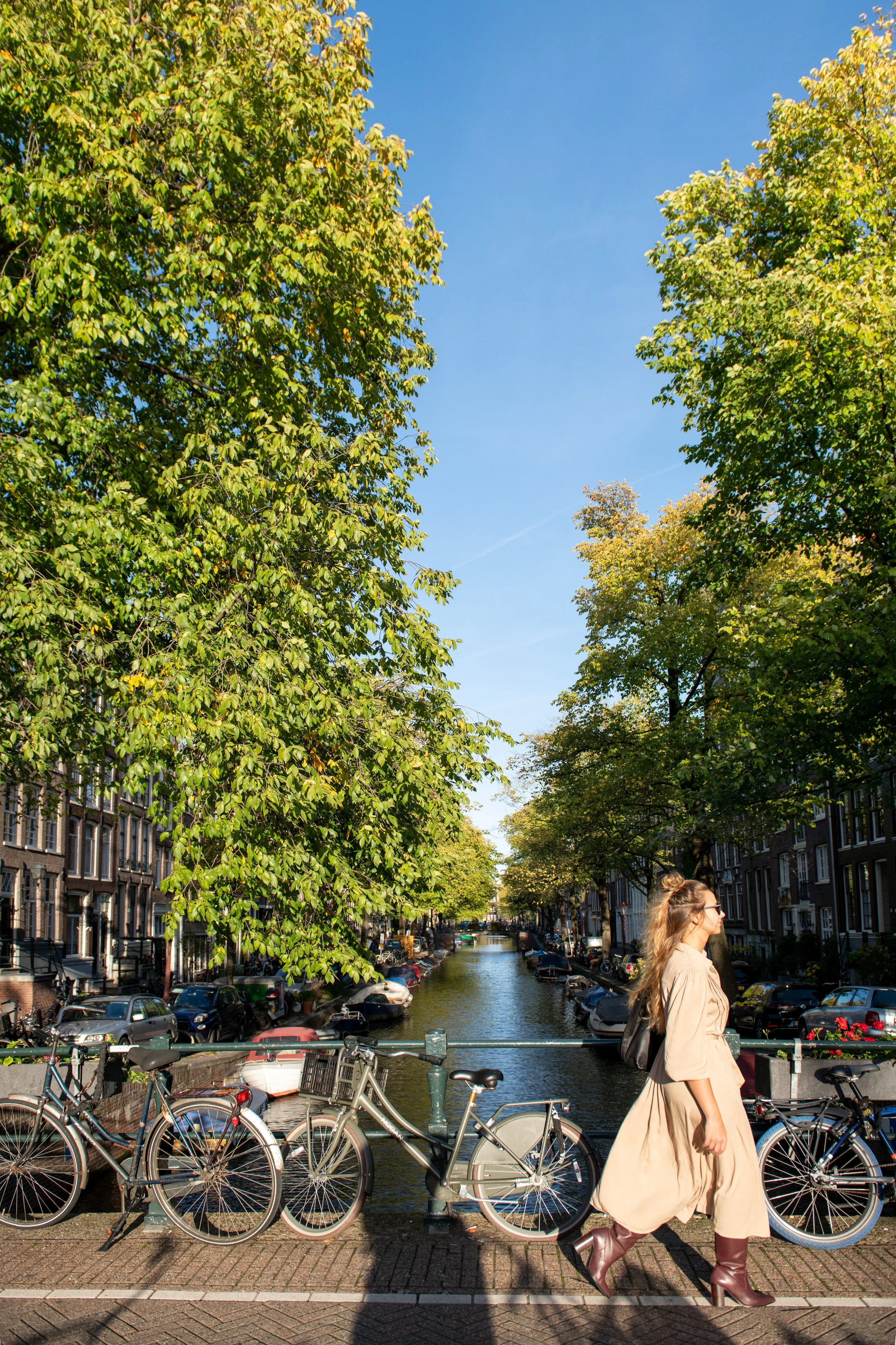 _DSC6002.jpg