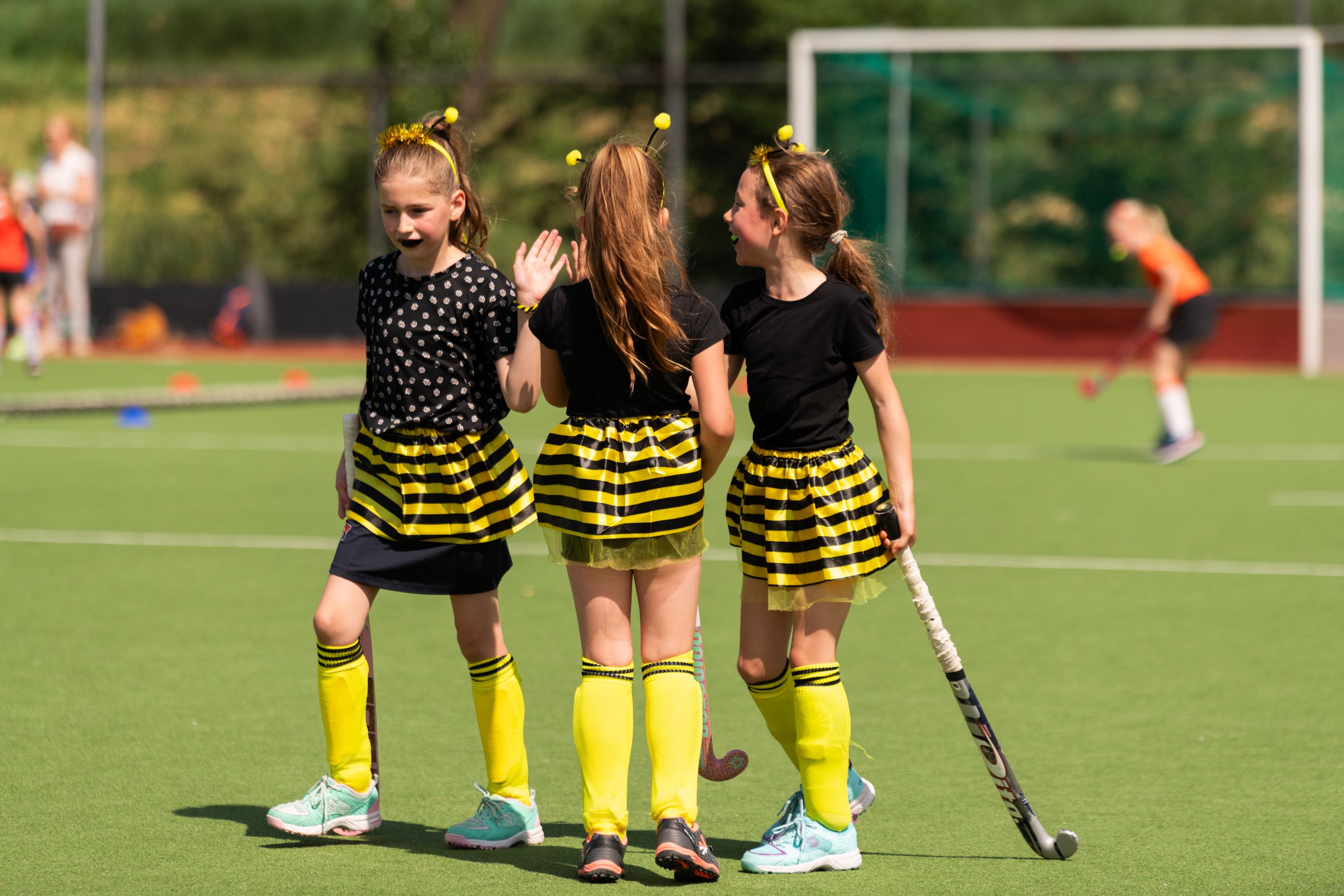 HockeyField_Amsterdaml@PWalzak-9.jpg