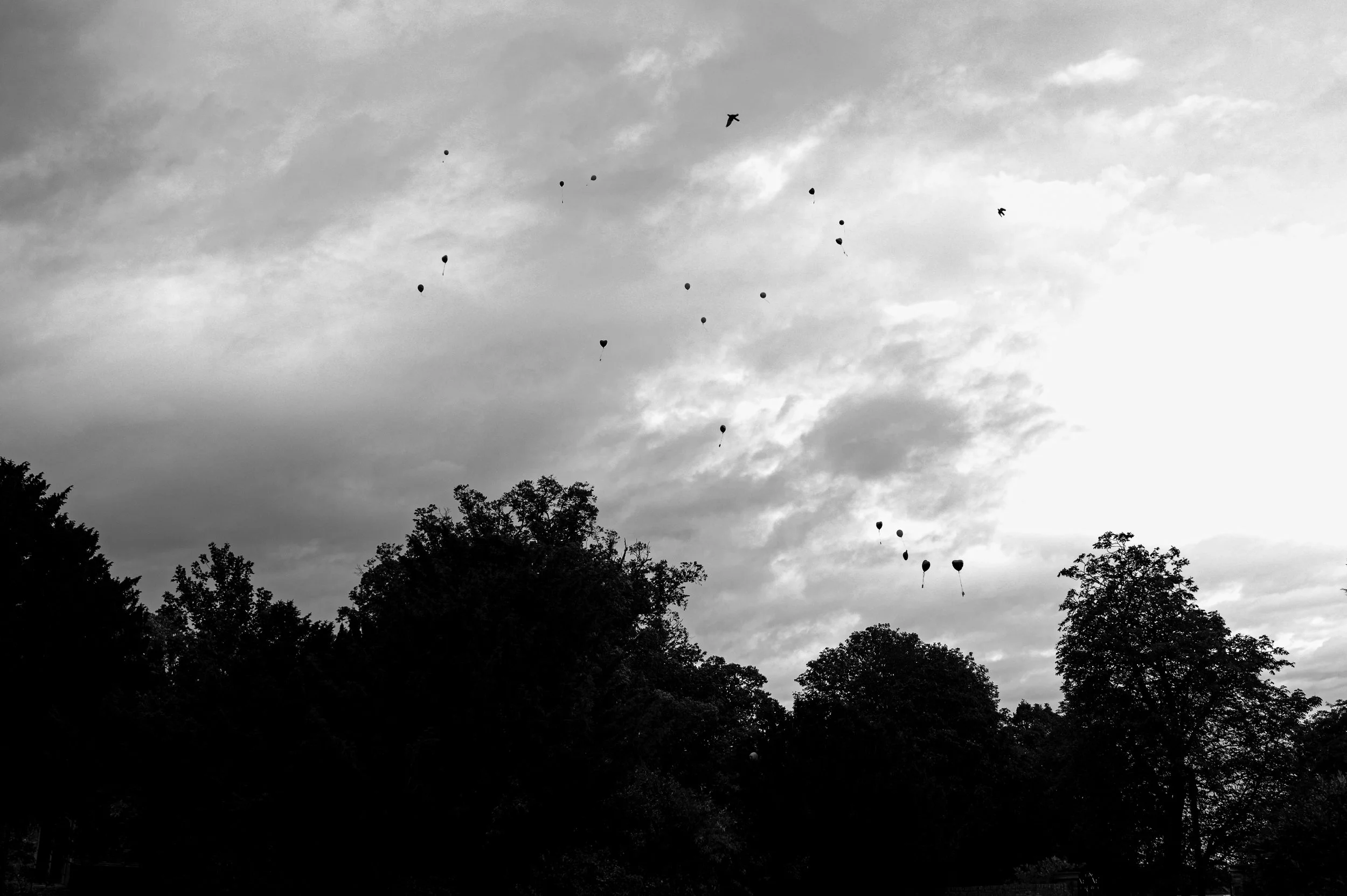DSC_0759.jpg