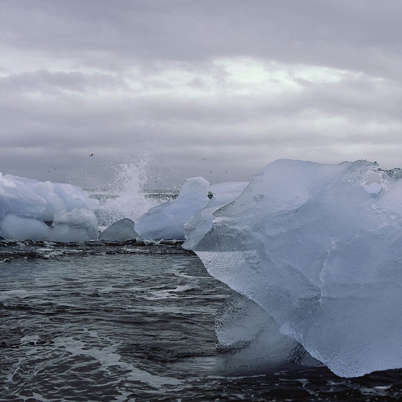 Haleynordphotographyiceland_1223.jpg