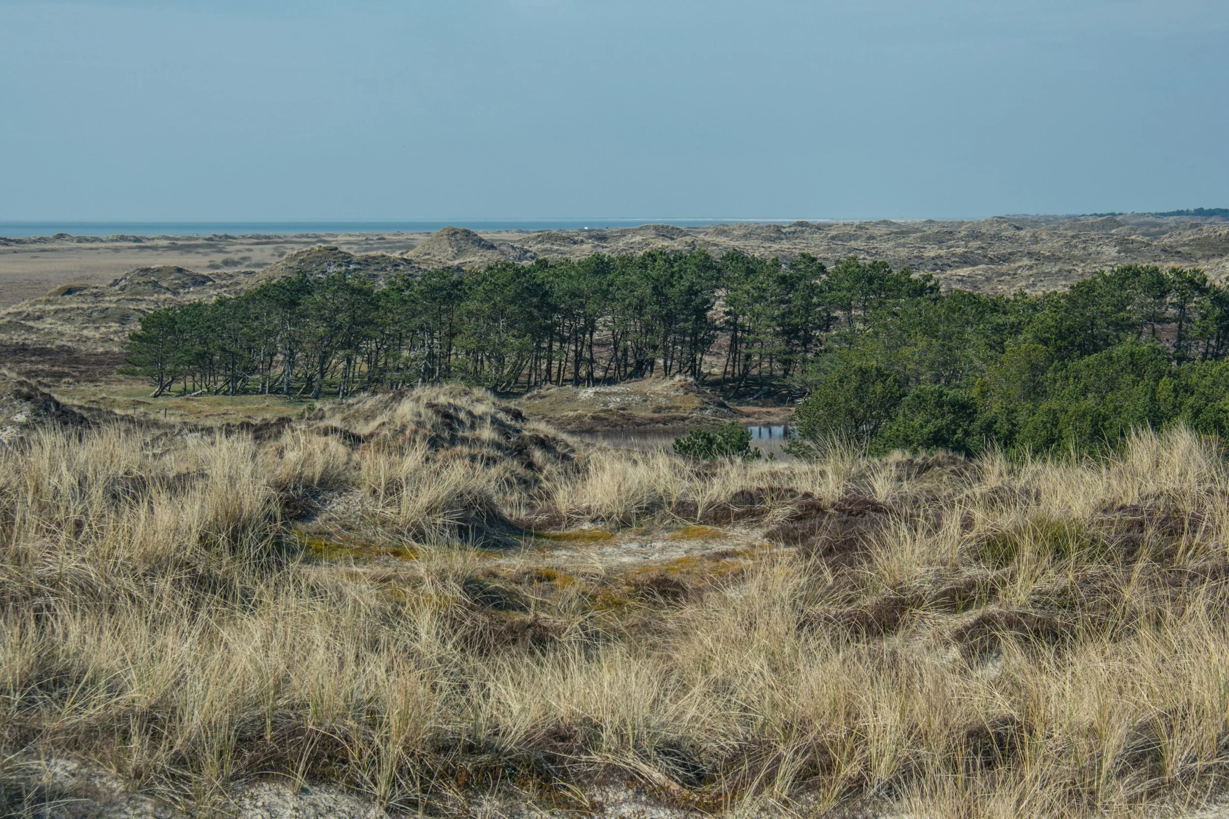 Syd- & Vestjylland: Sommerfest 2025