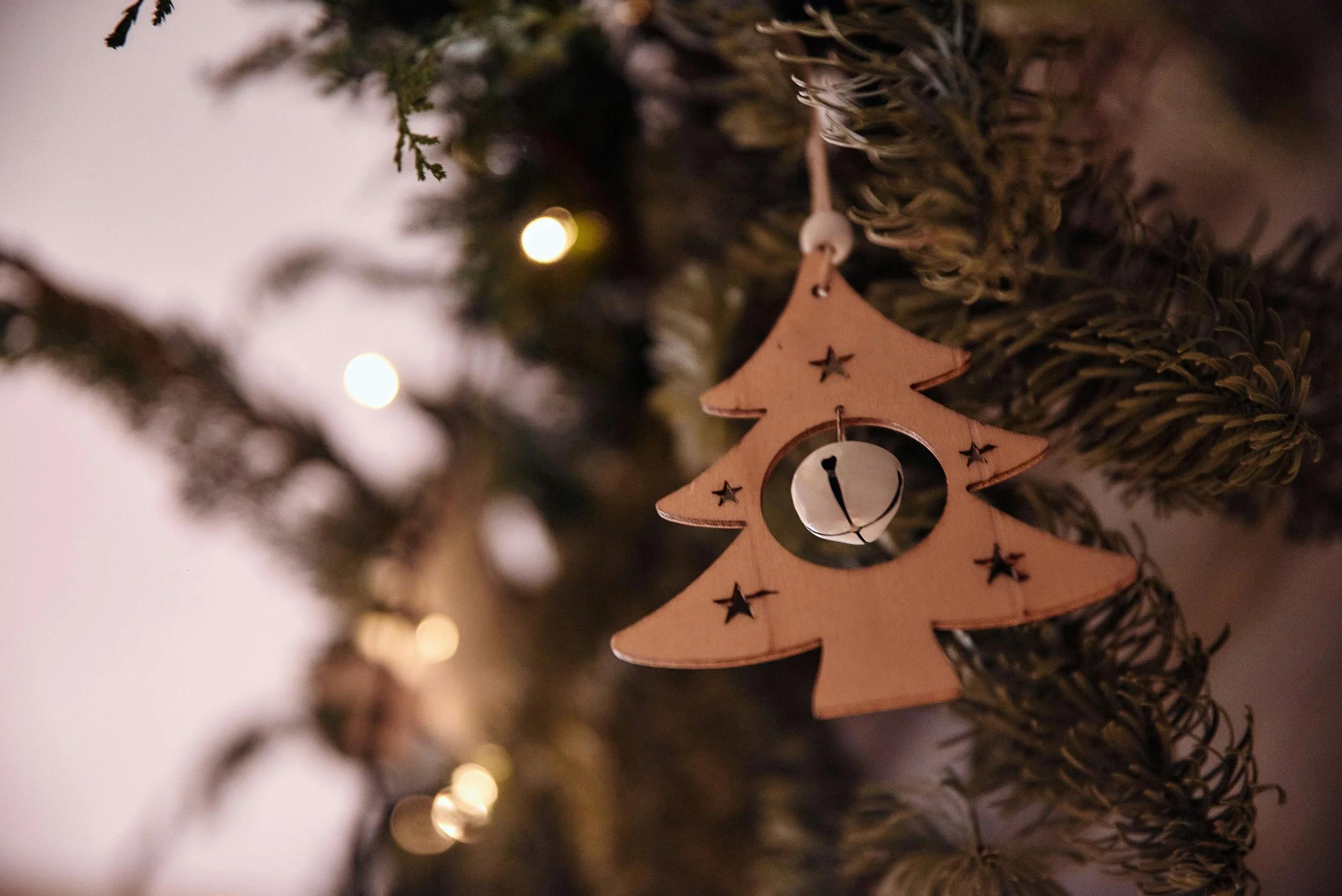 Syd- og Vestjylland: Julefrokost