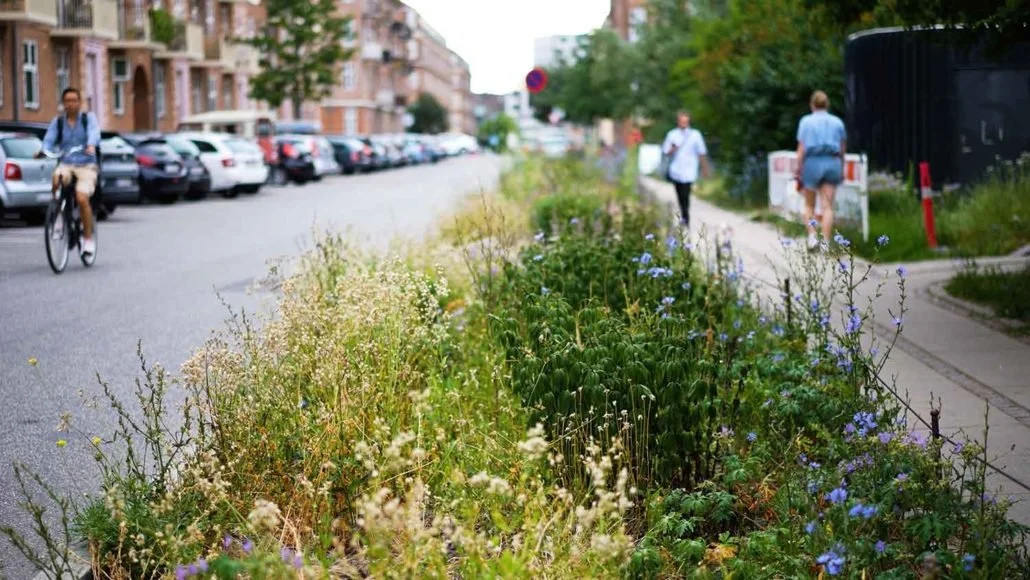 Aarhus: Værdien af bynatur
