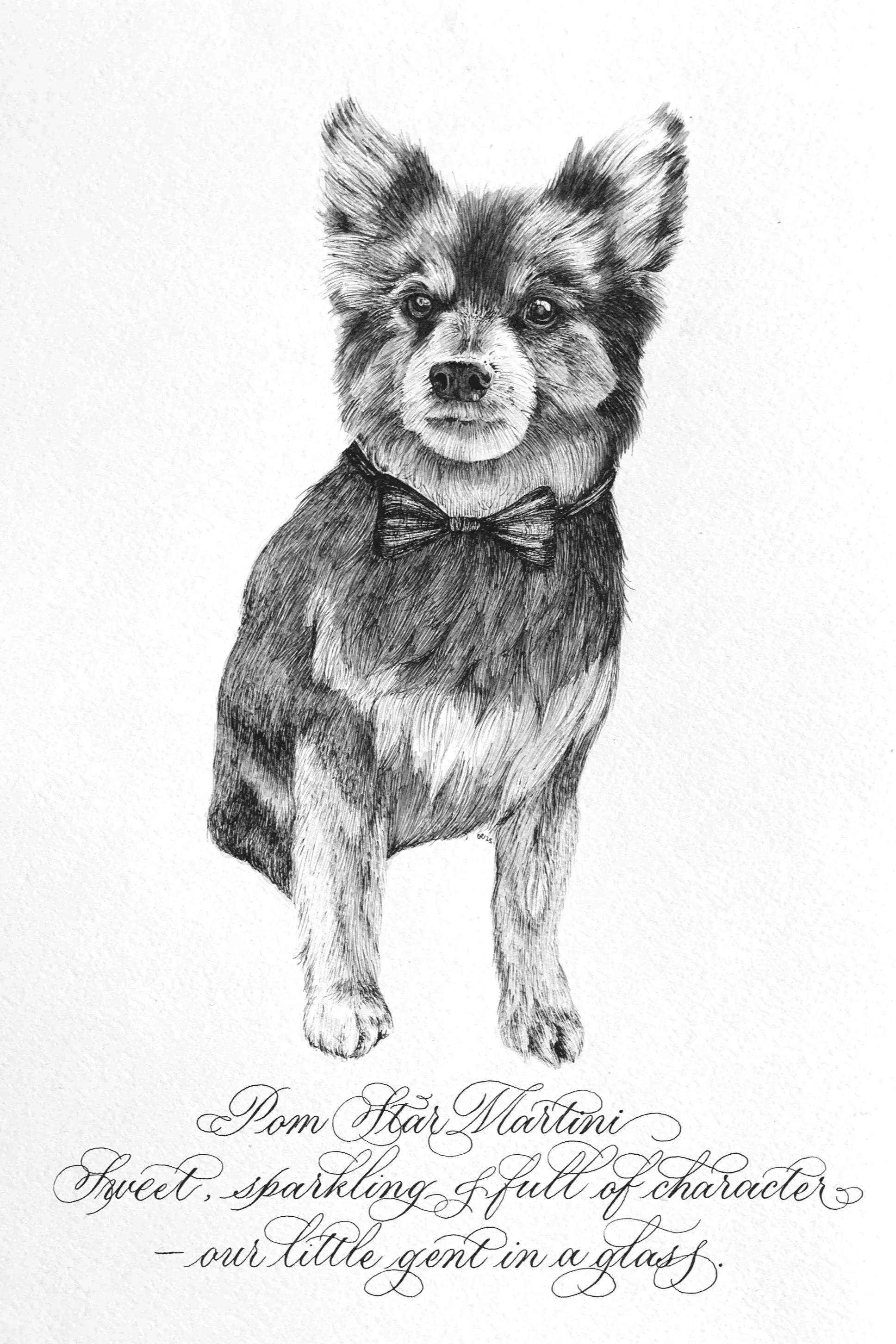 Pom-Pet-Portrait-with-Calligraphy.jpg