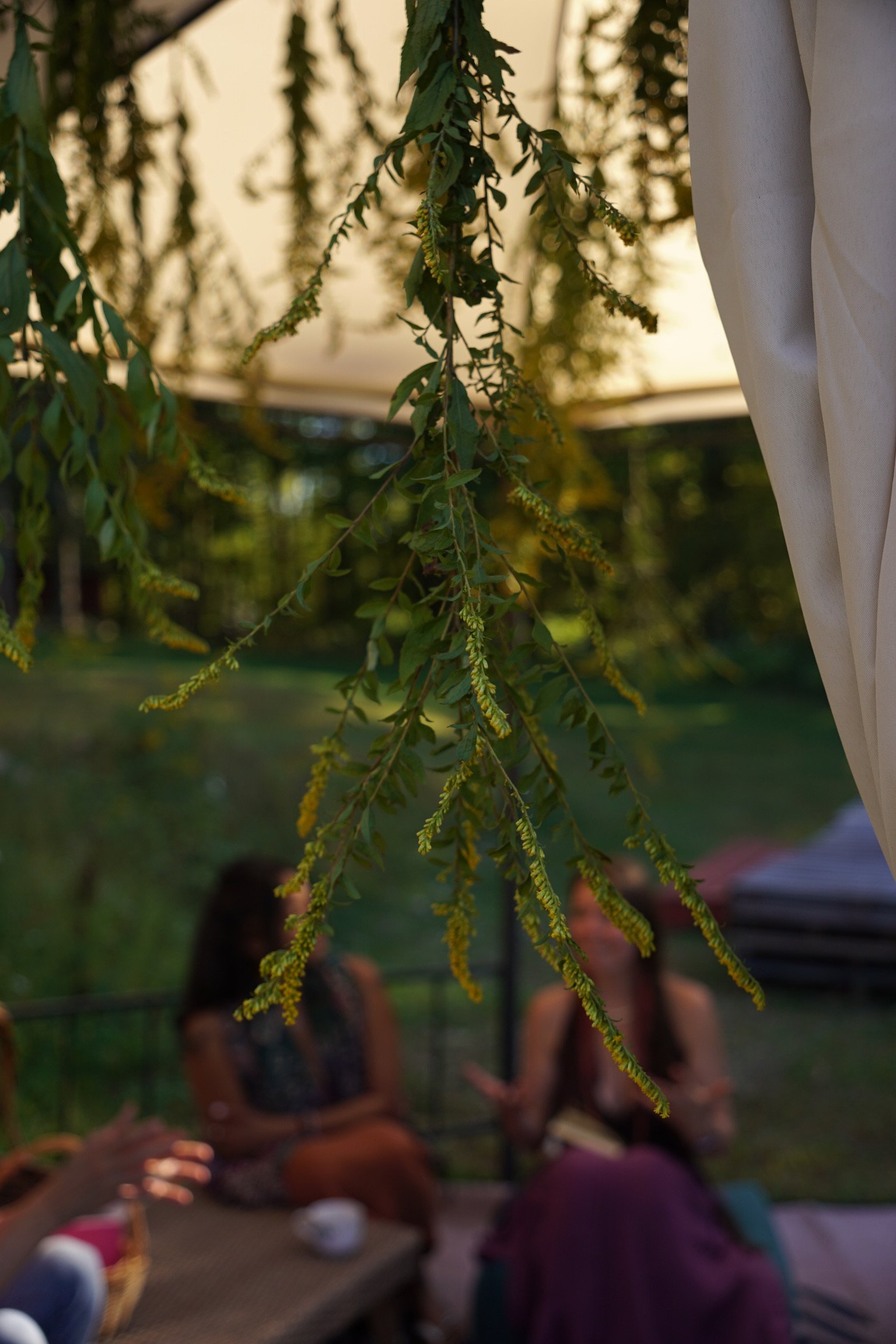 DSC08728.JPG