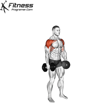 Dumbbell-6-Ways-Raise.gif