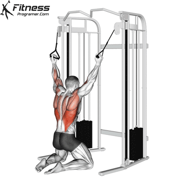 Double-Cable-Neutral-Grip-Lat-Pulldown-On-Floor.gif