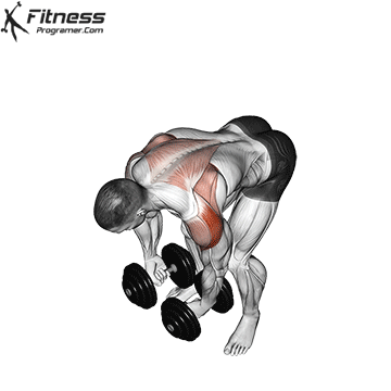 Day 4 - Shoulders + Back