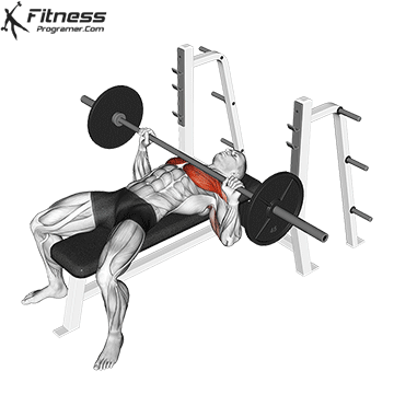 Barbell-Bench-Press.gif