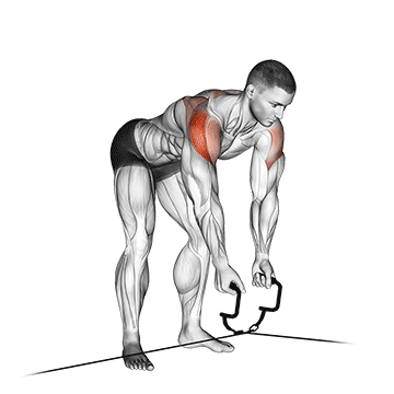 Day 4 - Shoulders + Back