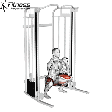 Cable-Front-Squat.gif