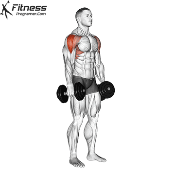 Dumbbell-Lateral-Raise.gif