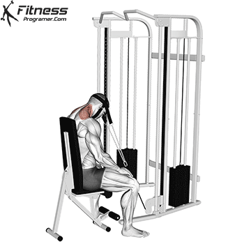 Cable-Seated-Neck-Extension-with-head-harness.gif